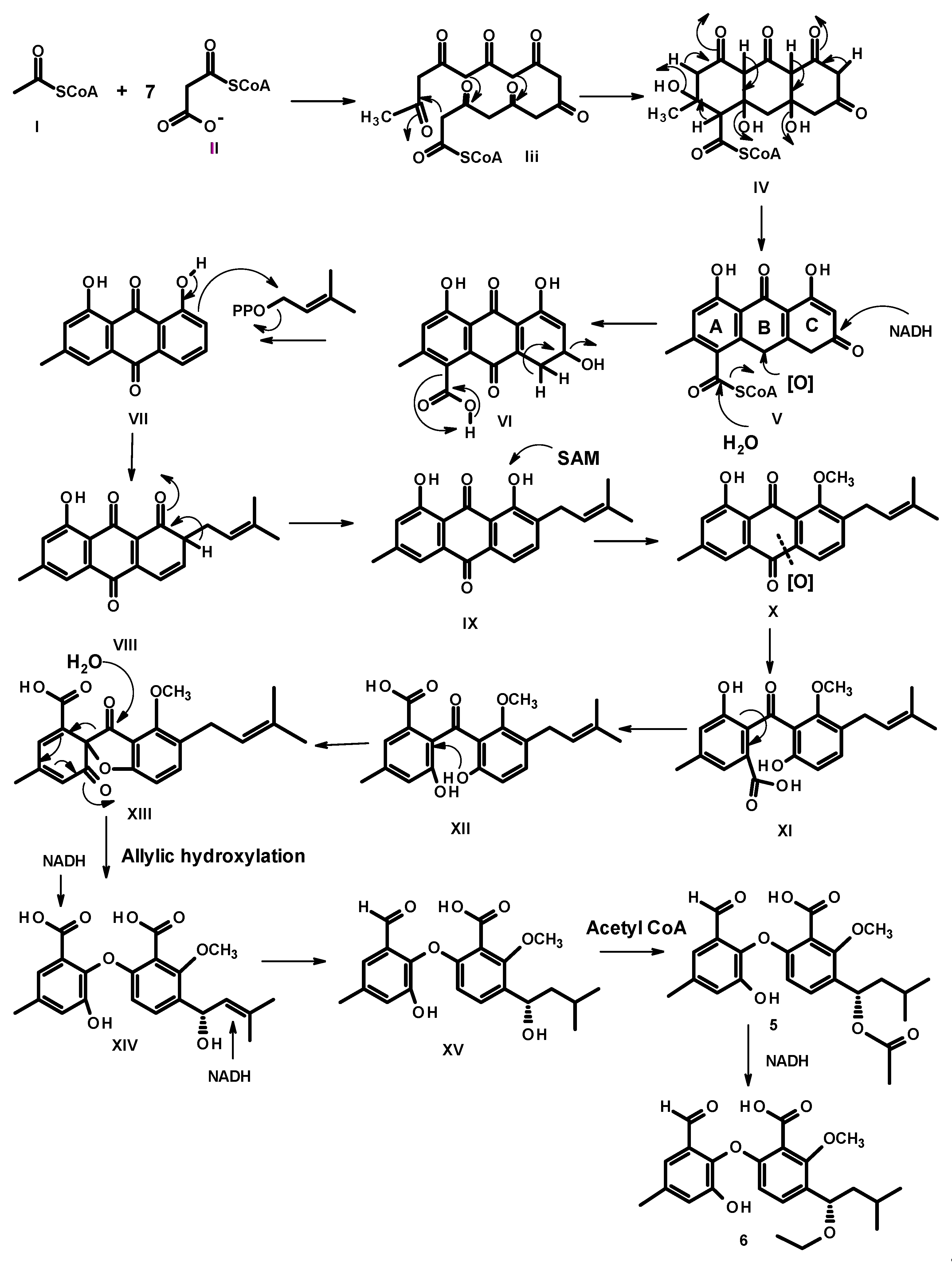 Marinedrugs 19 00457 g006