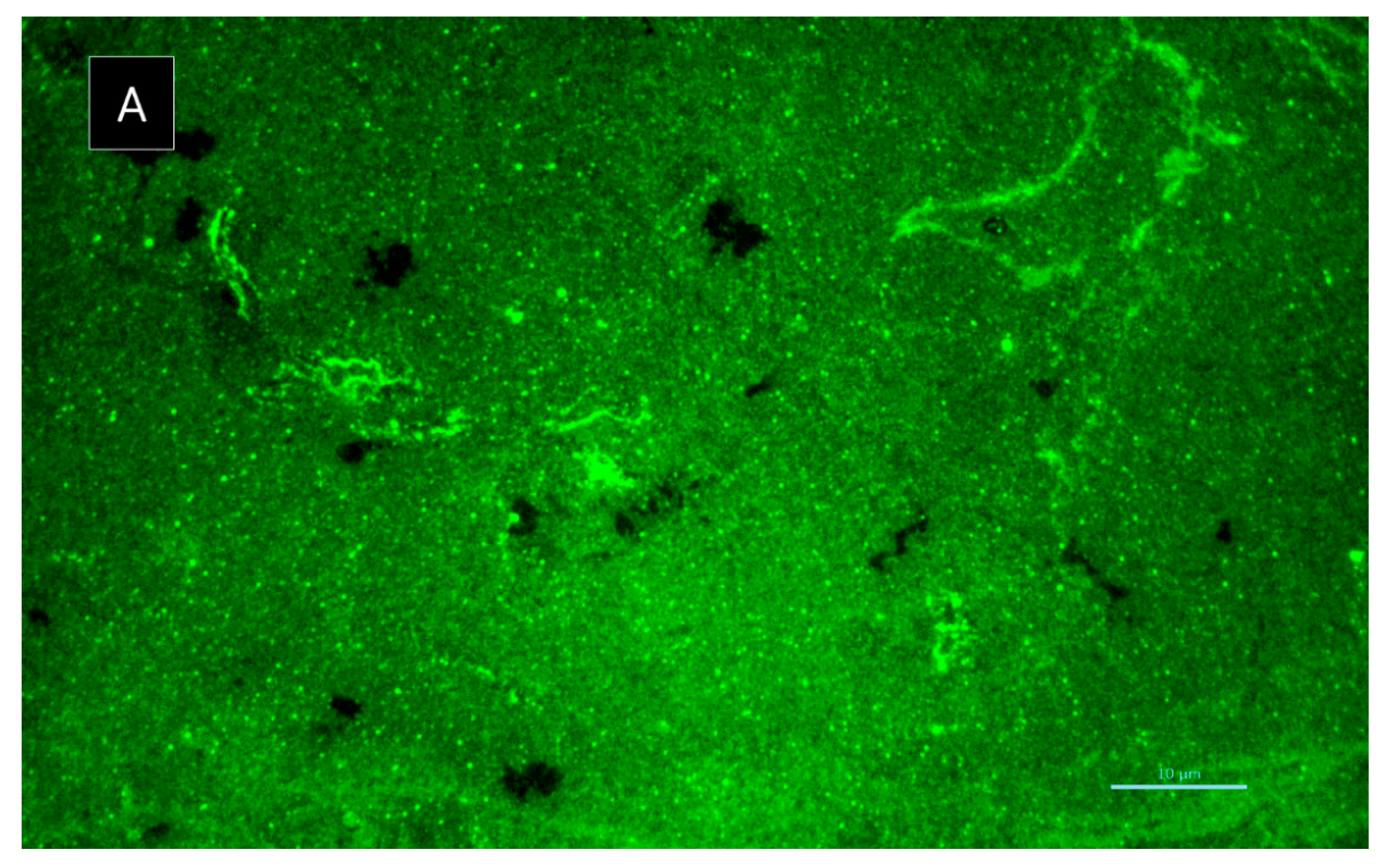 Marinedrugs 19 00457 g009a