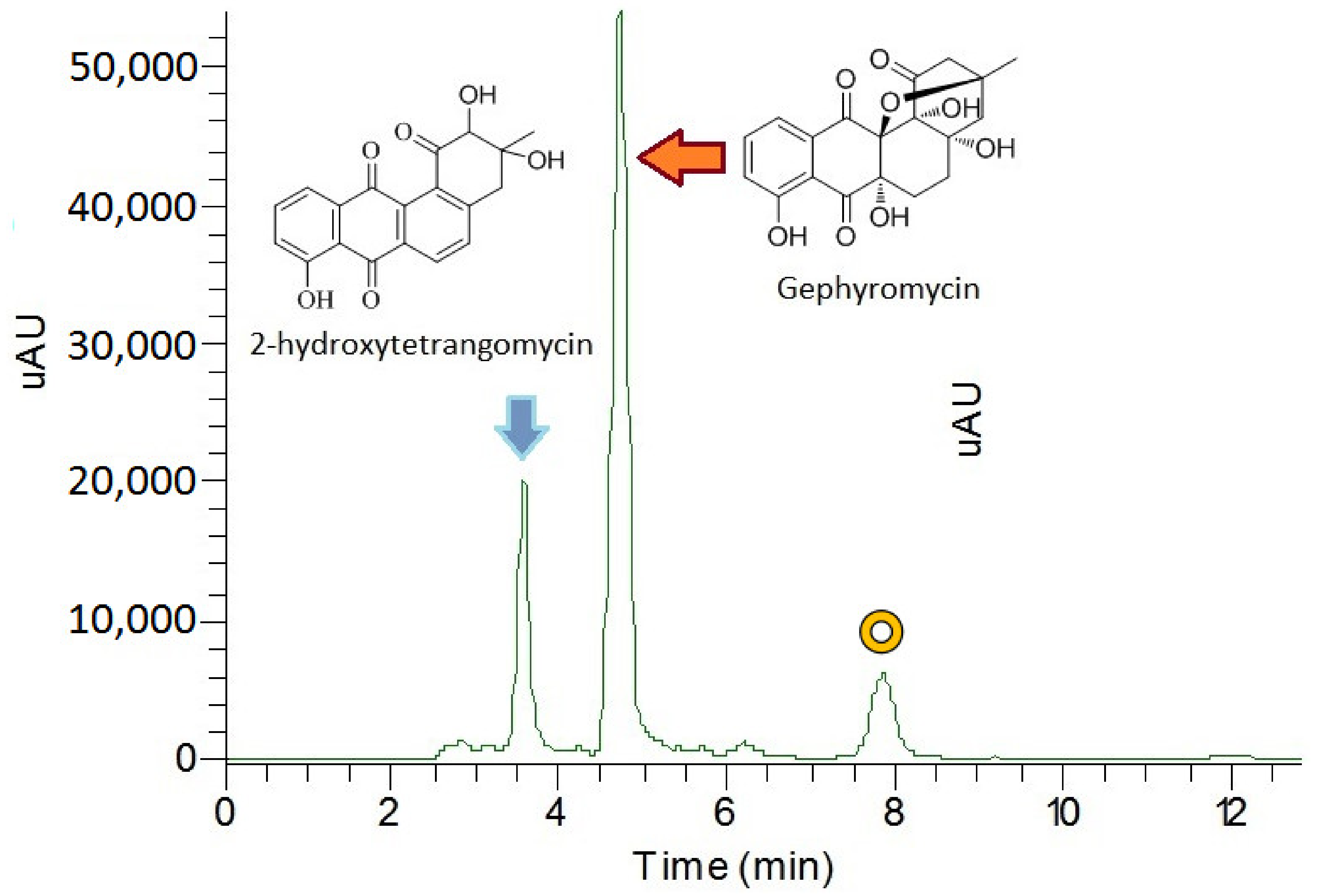 Marinedrugs 19 00458 g002 Marinedrugs 19 00458 g002