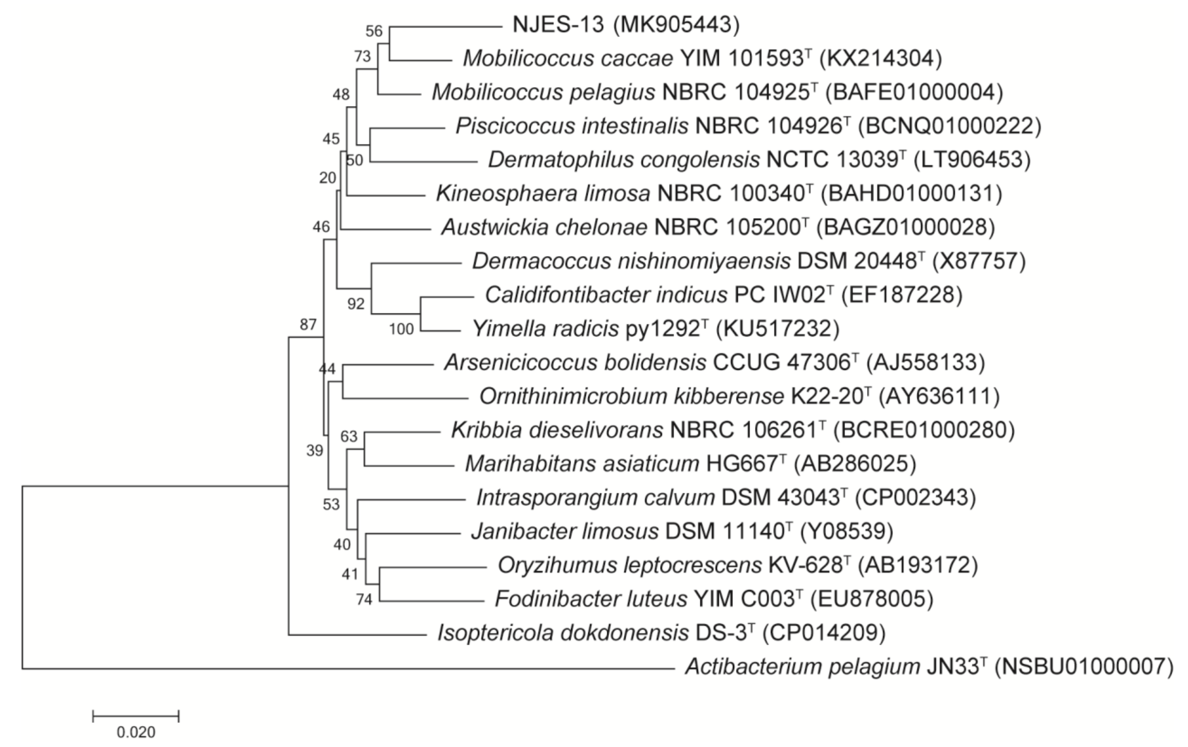 Marinedrugs 19 00458 g004 Marinedrugs 19 00458 g004
