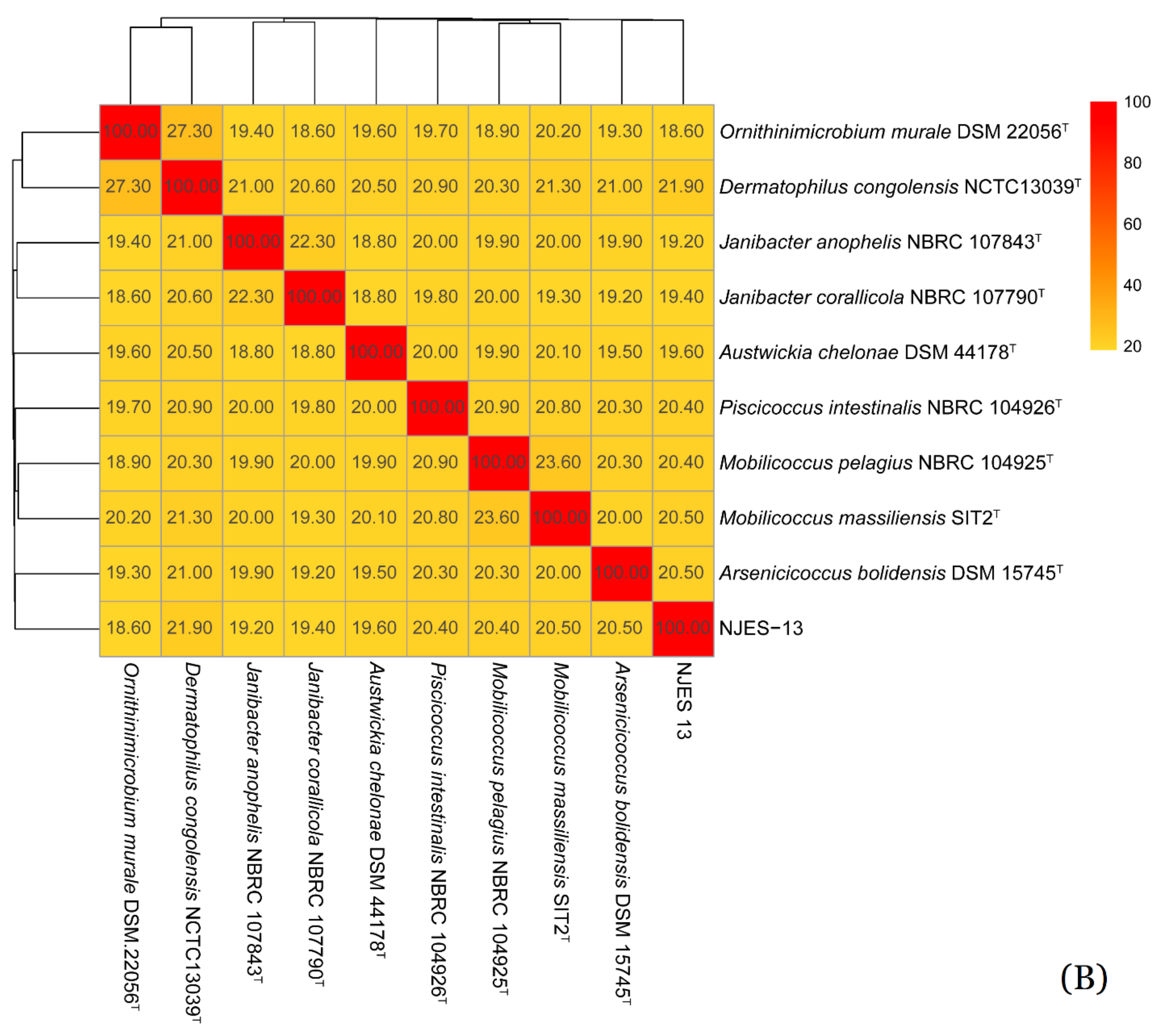 Marinedrugs 19 00458 g006b Marinedrugs 19 00458 g006b