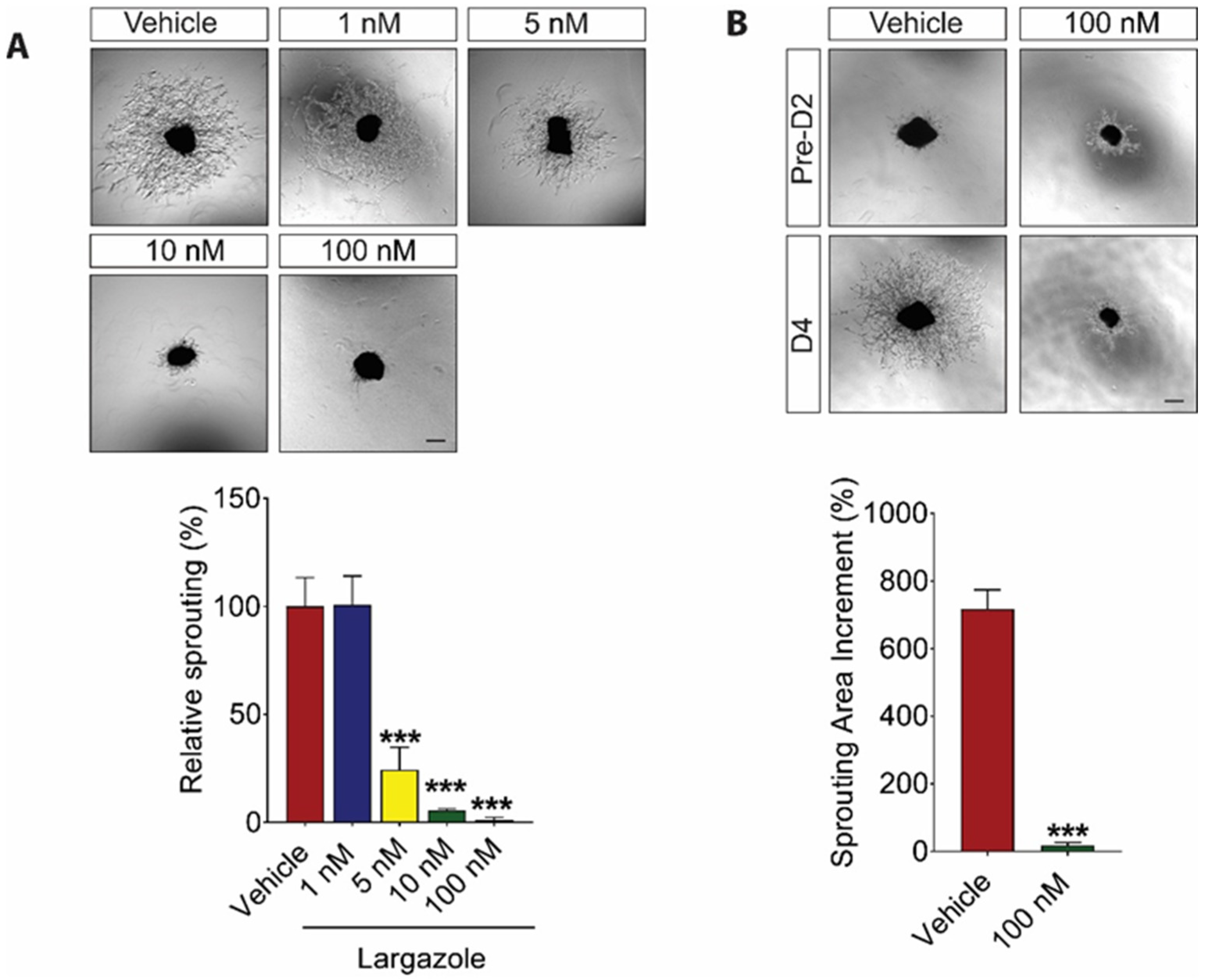 Marinedrugs 19 00471 g002
