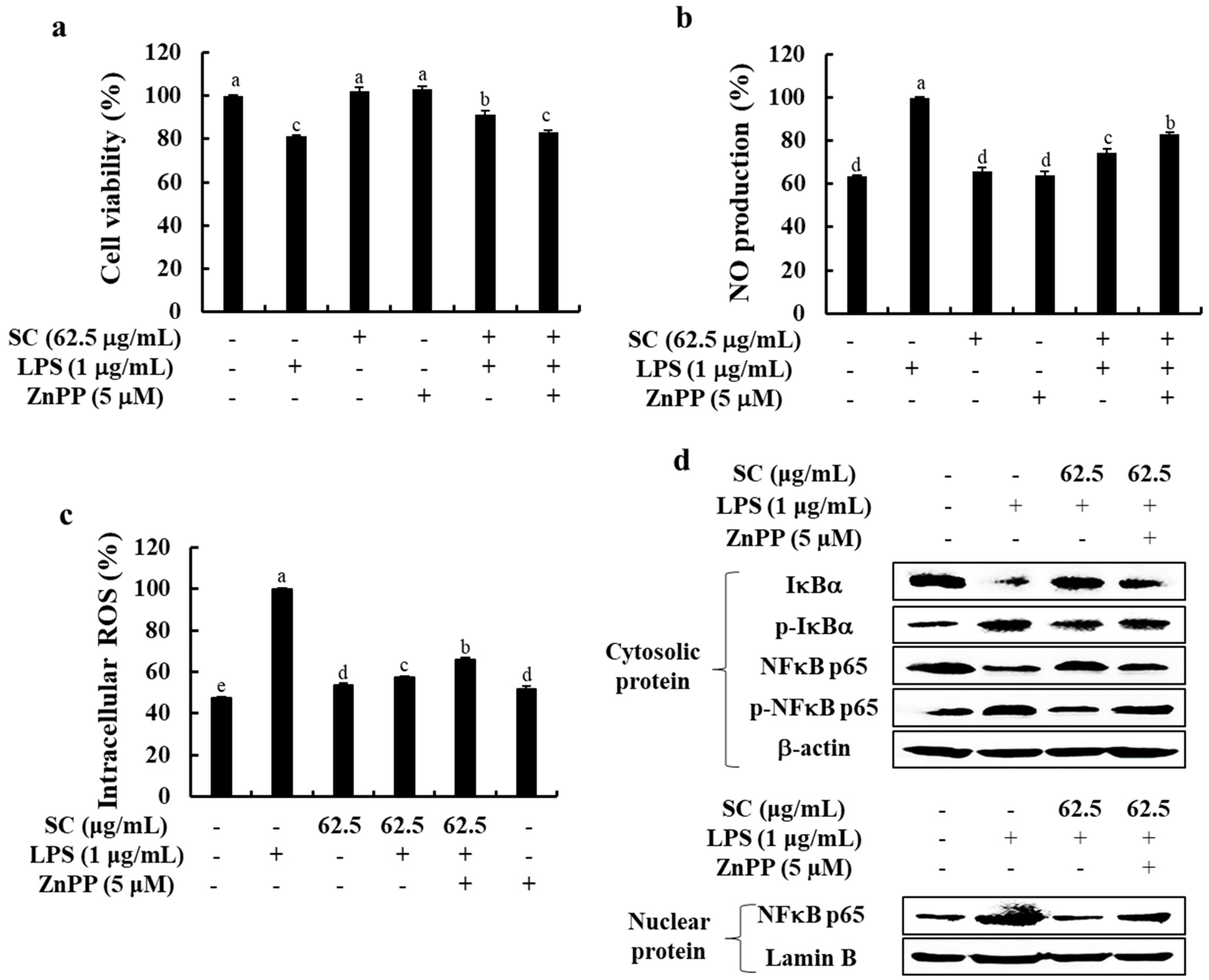 Marinedrugs 19 00497 g005