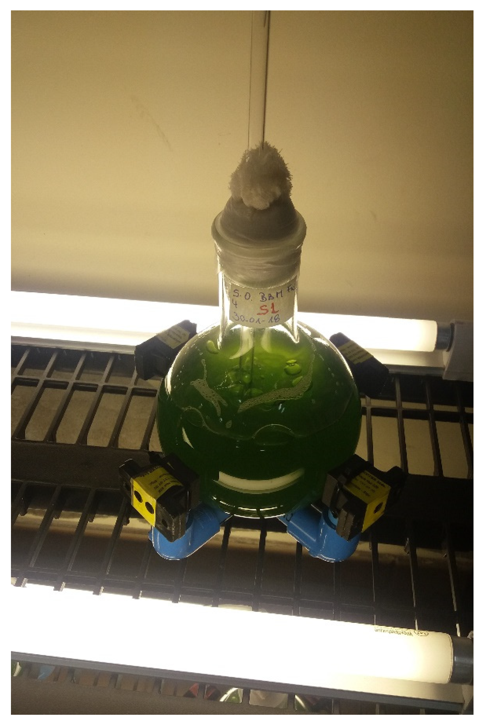 Marinedrugs 19 00527 g006