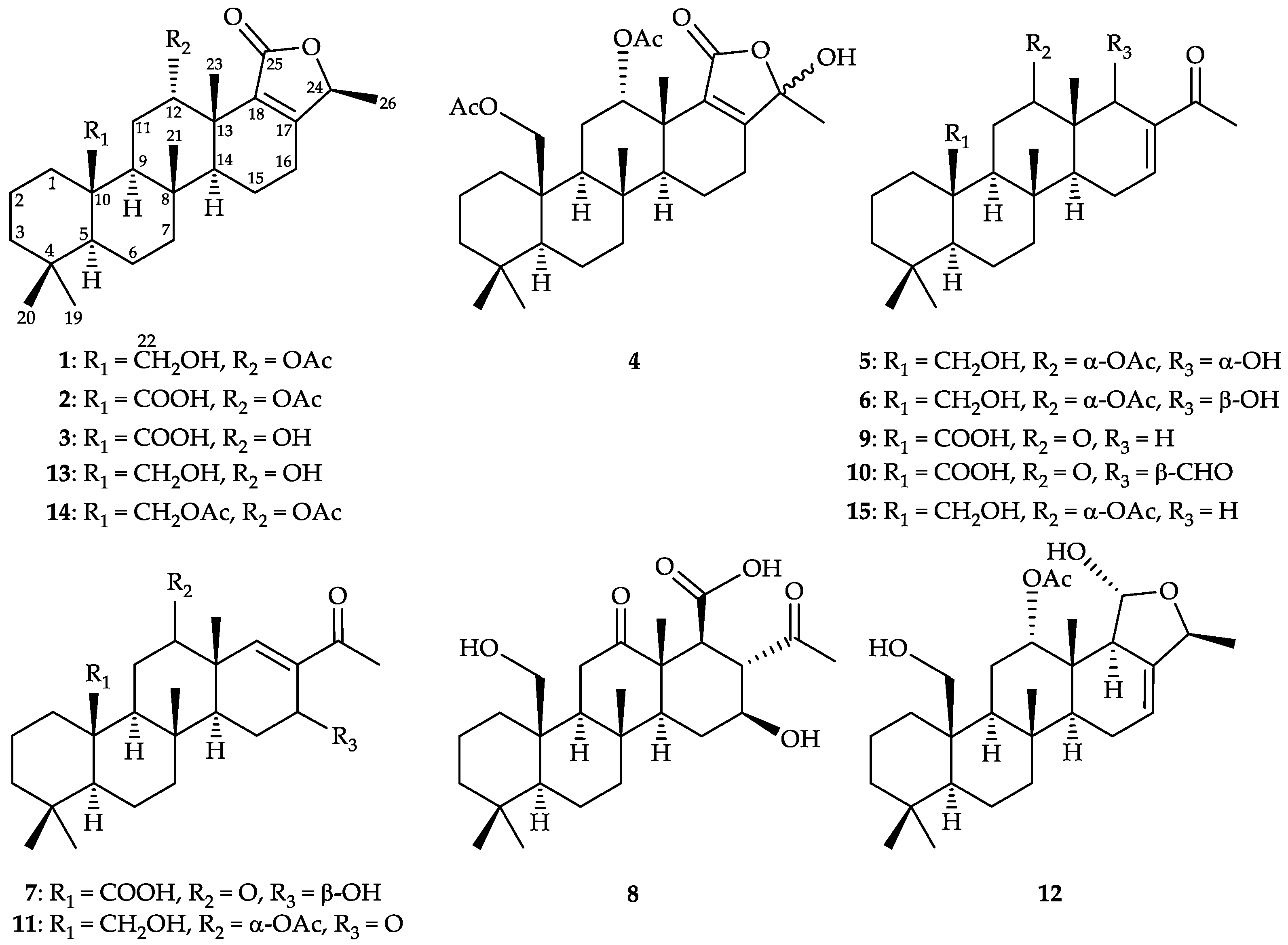 Marinedrugs 19 00561 g001