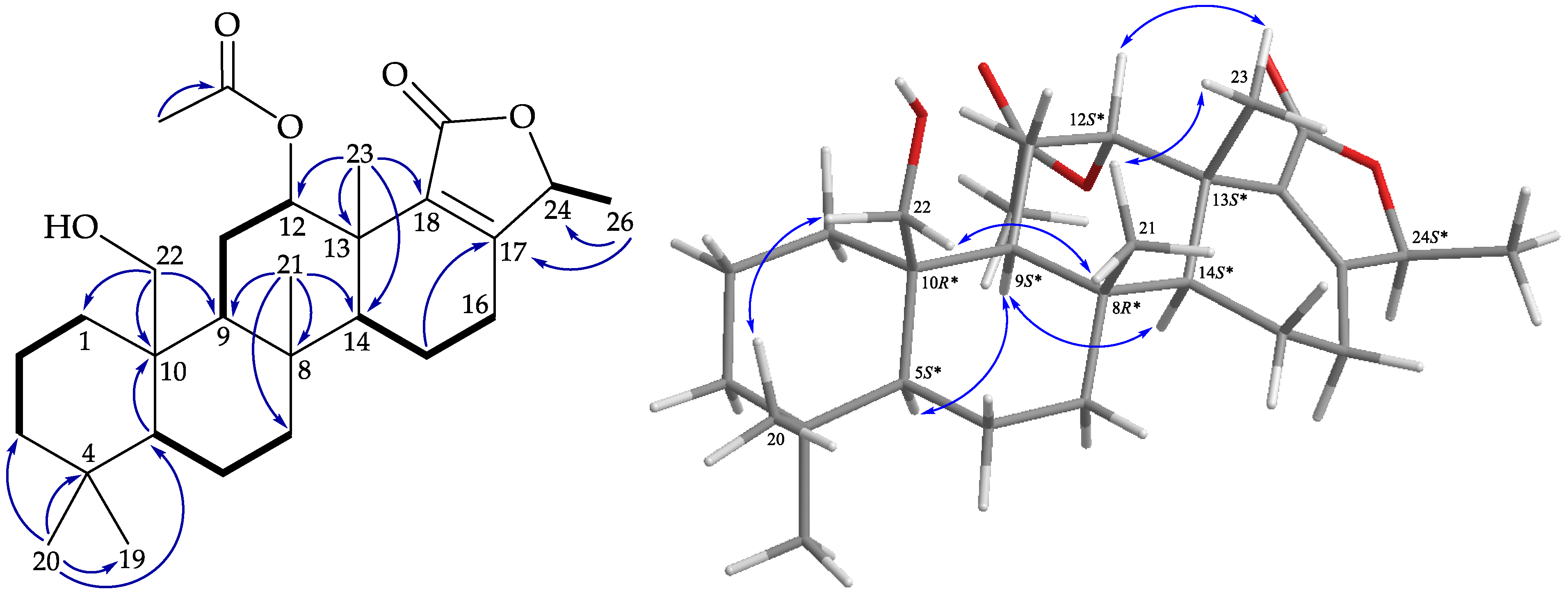 Marinedrugs 19 00561 g004