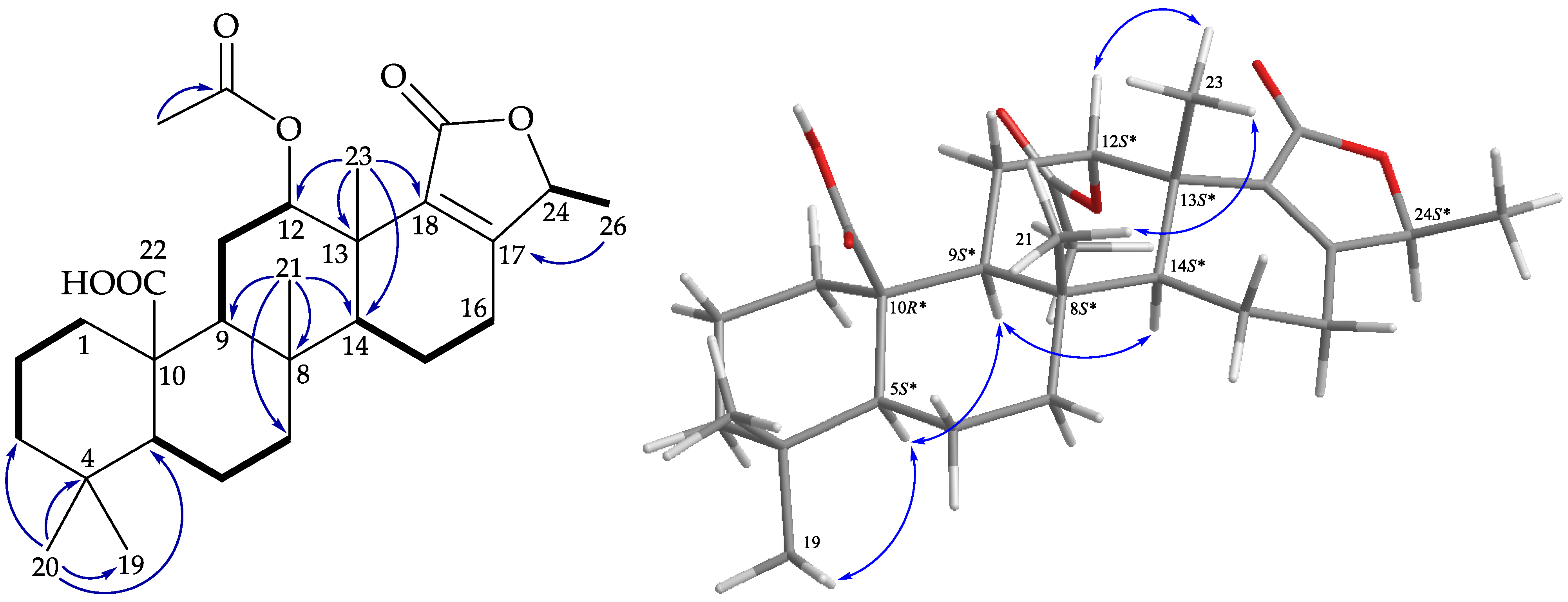 Marinedrugs 19 00561 g005