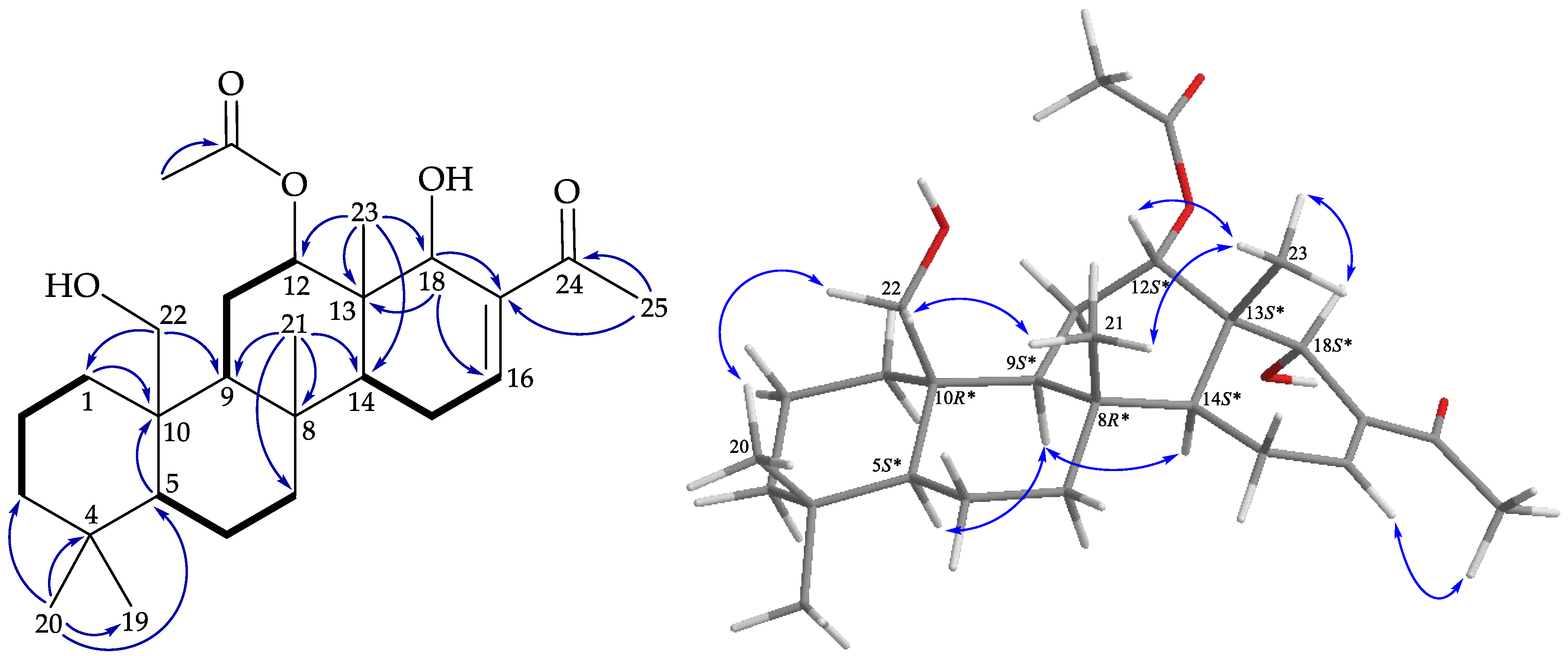 Marinedrugs 19 00561 g008