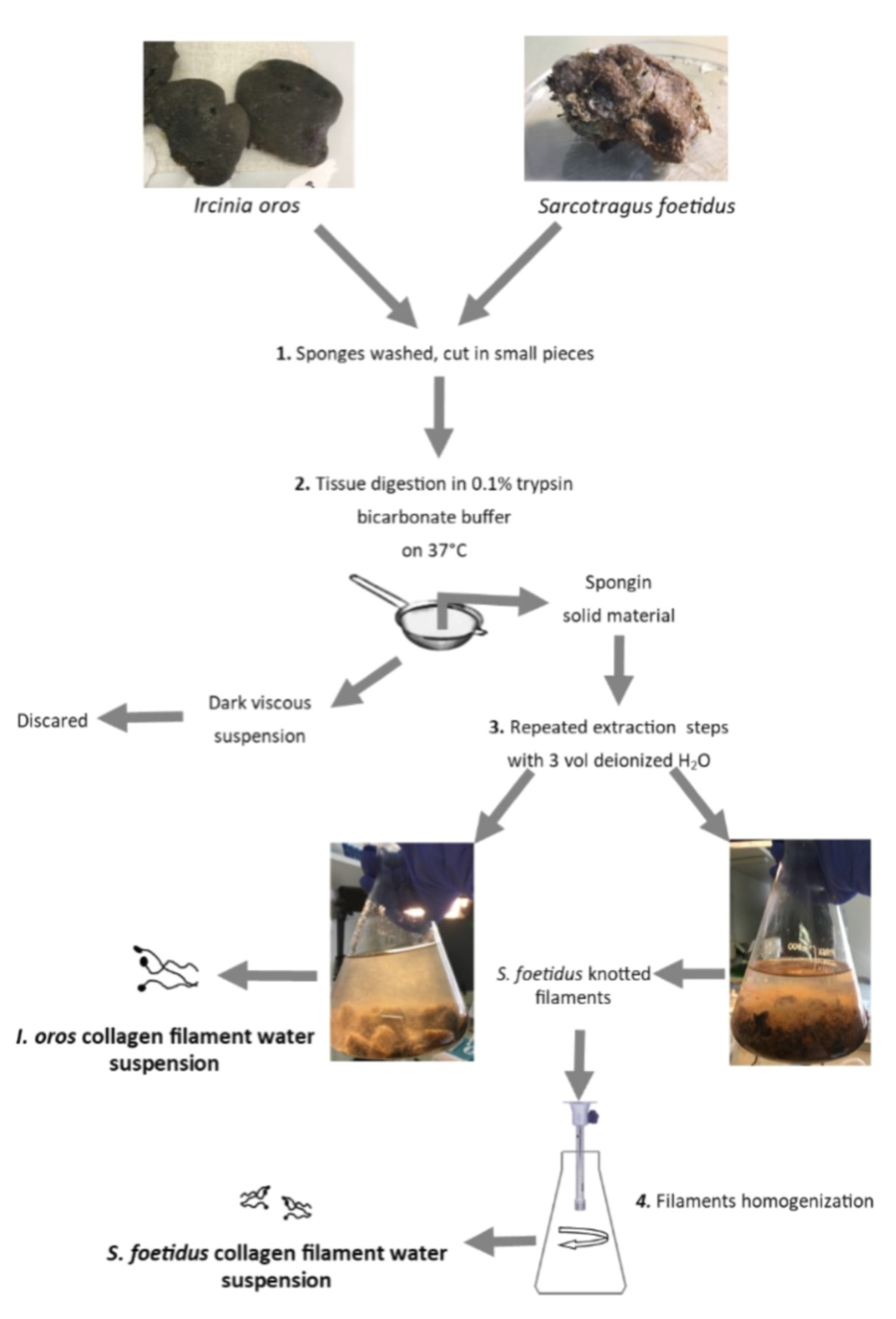 Marinedrugs 19 00563 sch001