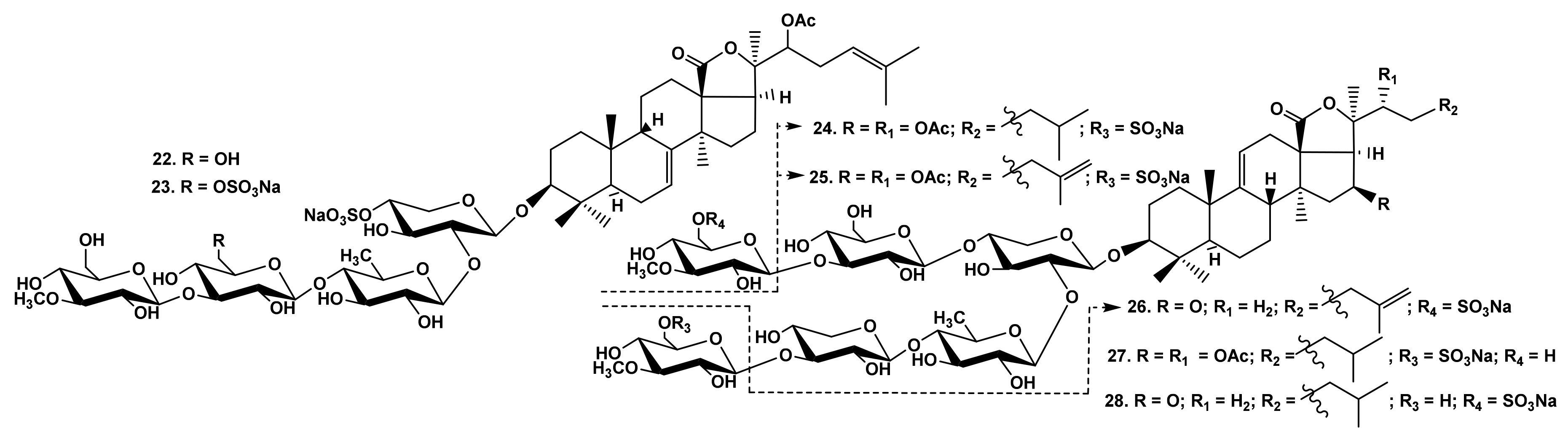 Marinedrugs 19 00604 g004