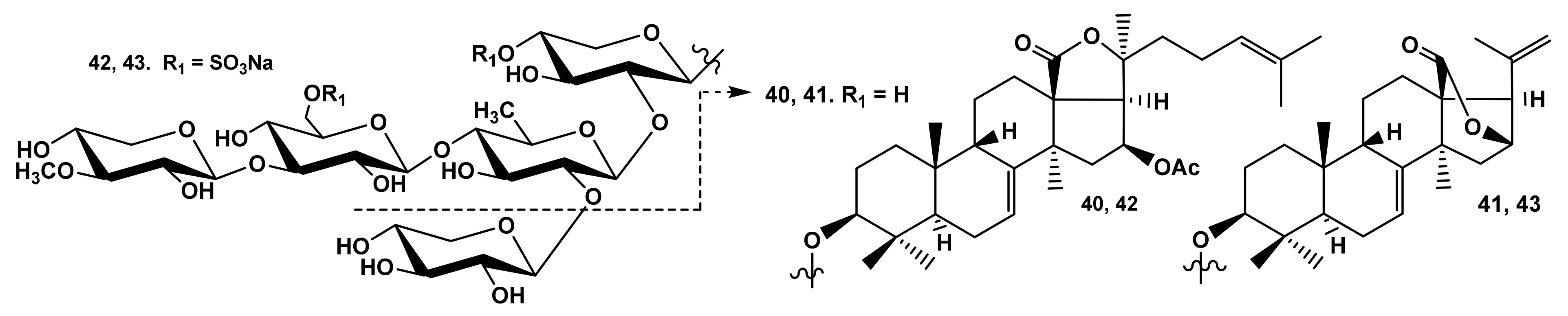 Marinedrugs 19 00604 g009