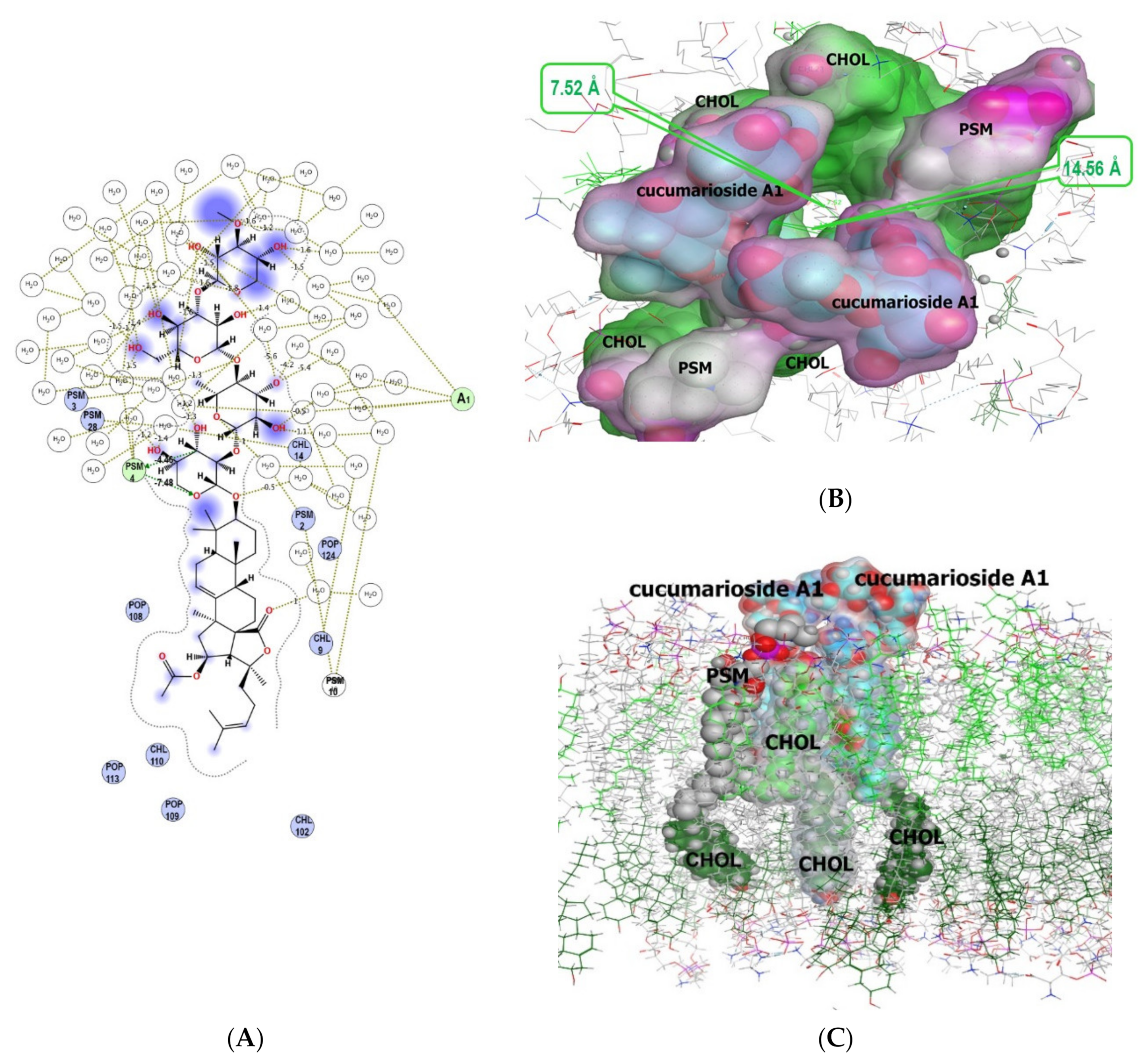 Marinedrugs 19 00604 g015