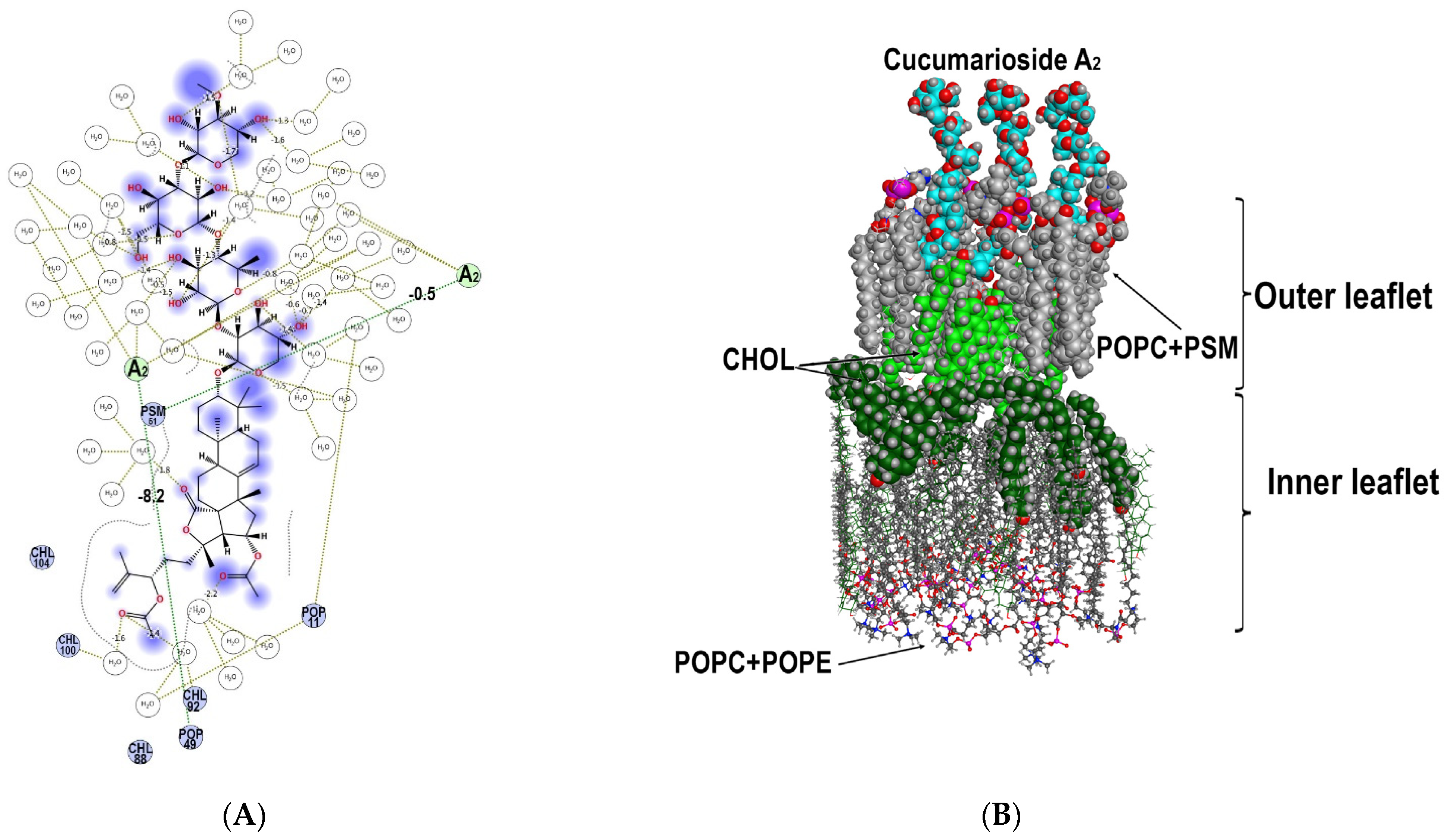Marinedrugs 19 00604 g017
