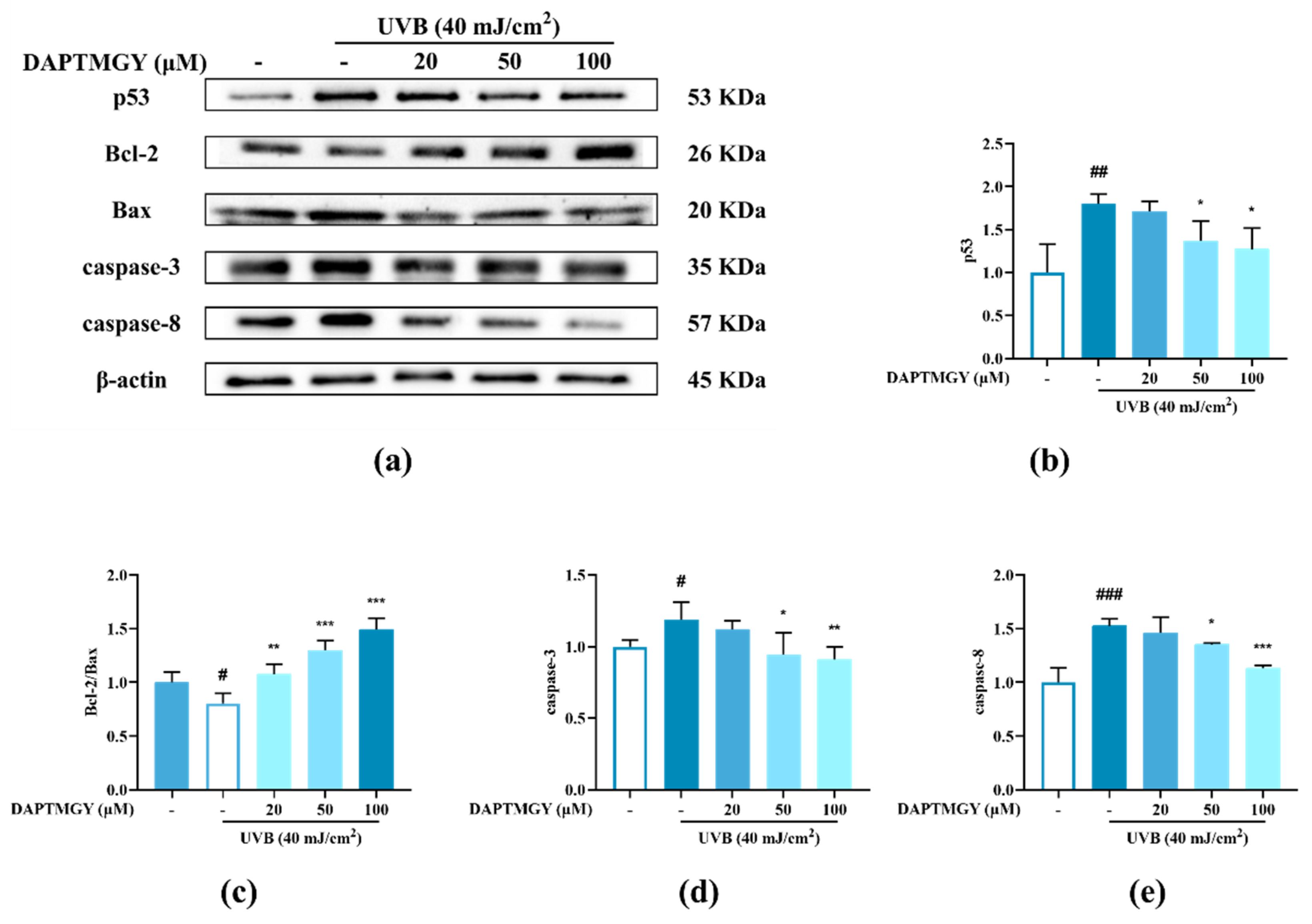 Marinedrugs 19 00626 g003a Marinedrugs 19 00626 g003a
