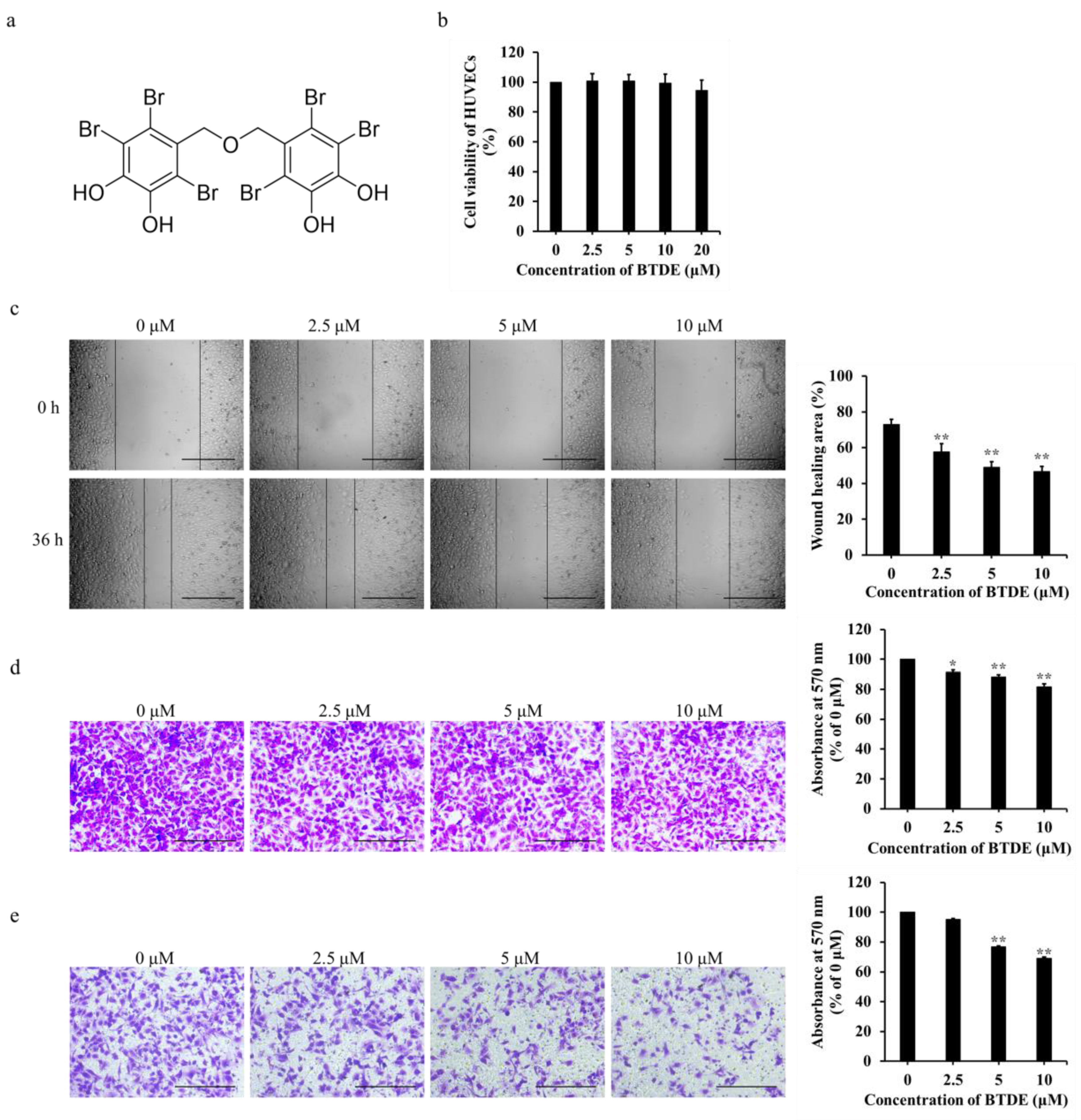 https://www.mdpi.com/marinedrugs/marinedrugs-19-00641/article_deploy/html/images/marinedrugs-19-00641-g001.png