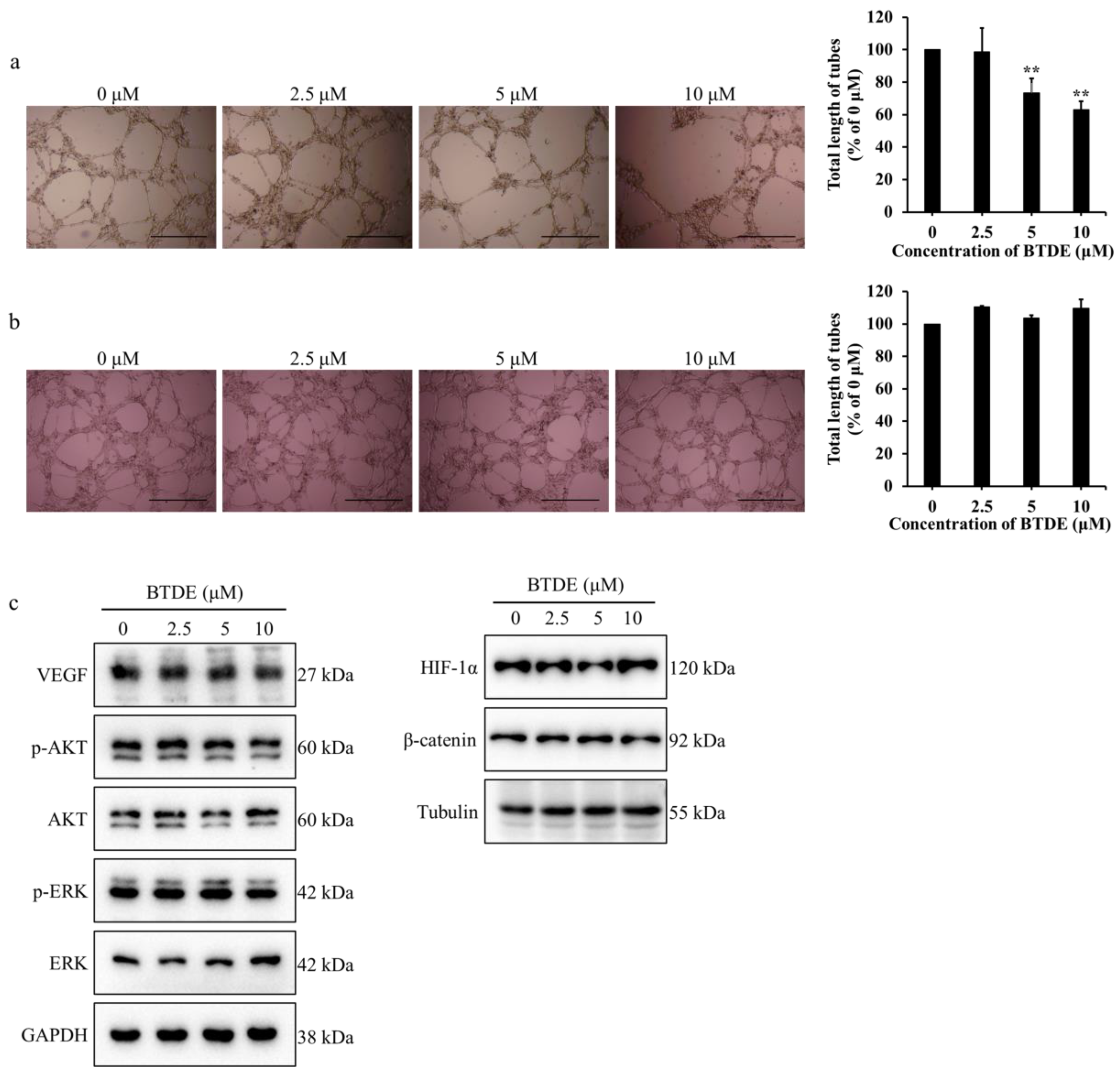 Marinedrugs 19 00641 g005