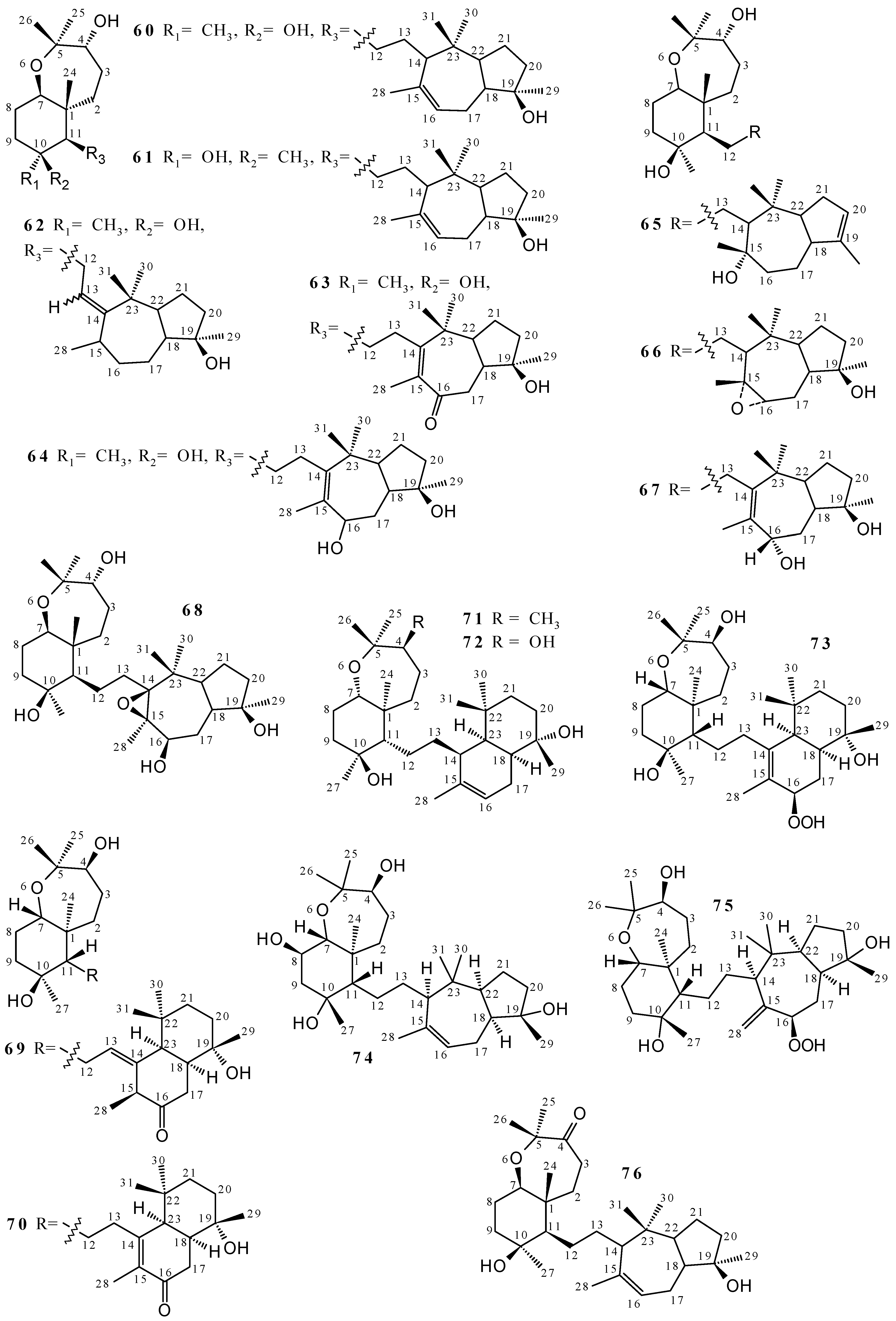 Marinedrugs 19 00663 g002b
