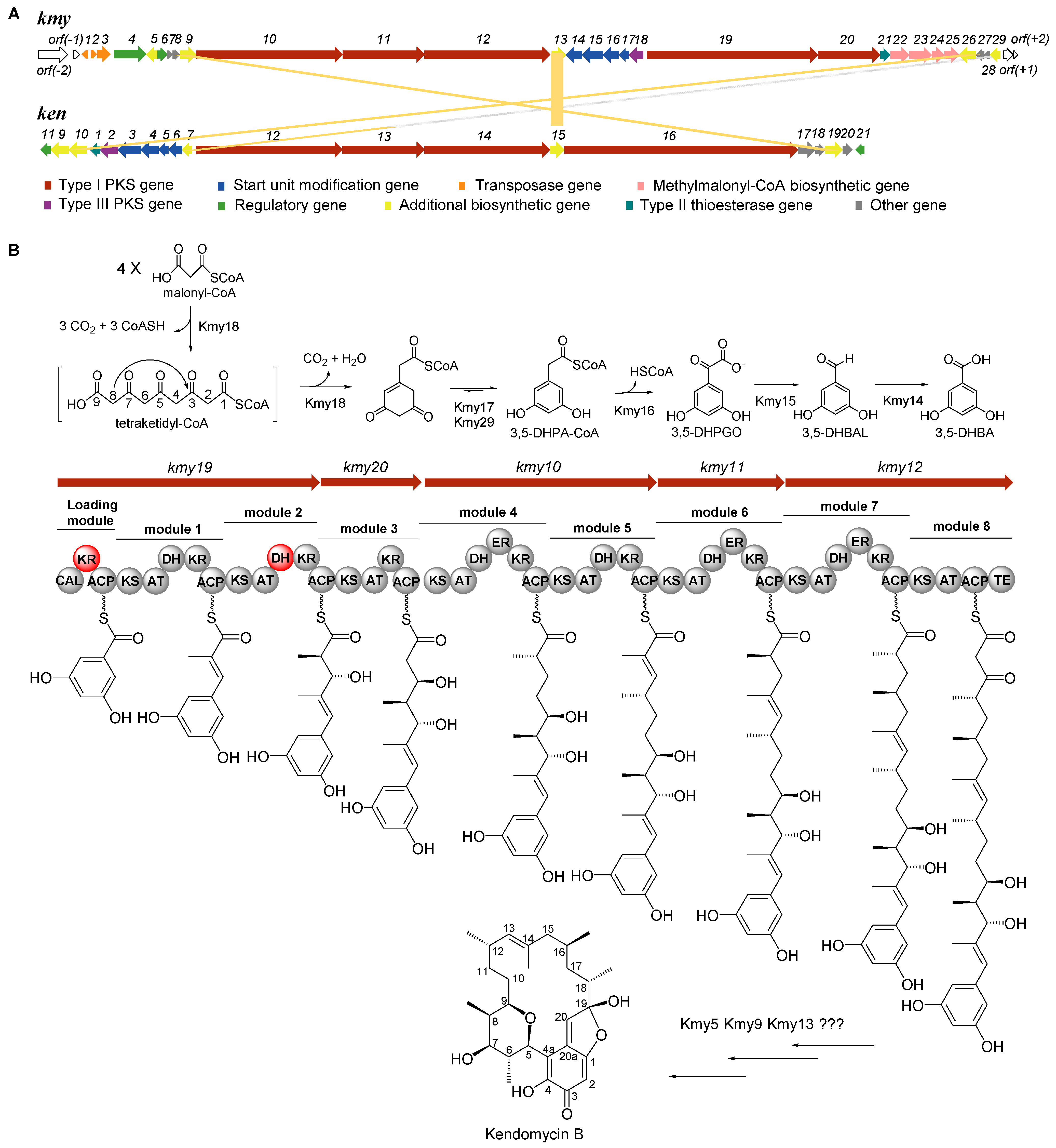 Marinedrugs 19 00673 g001