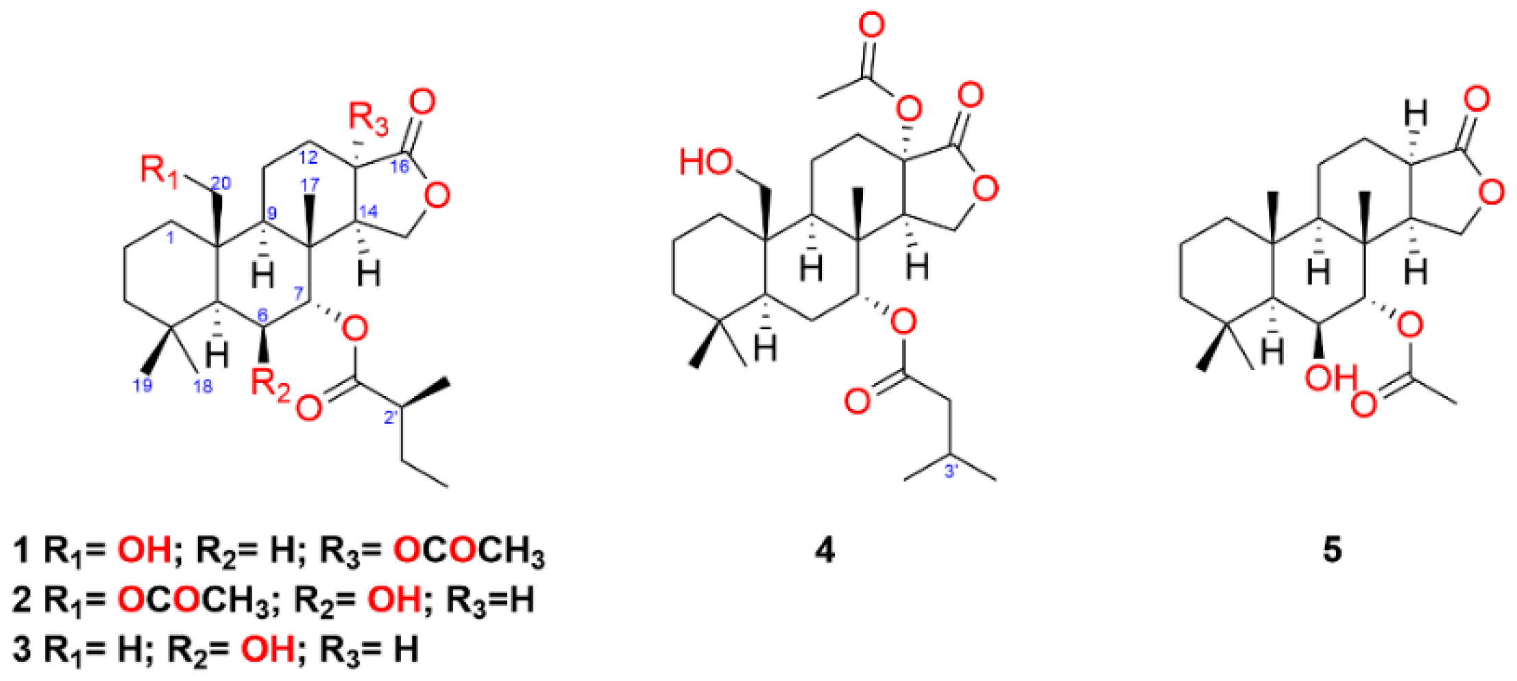 Marinedrugs 19 00680 g001