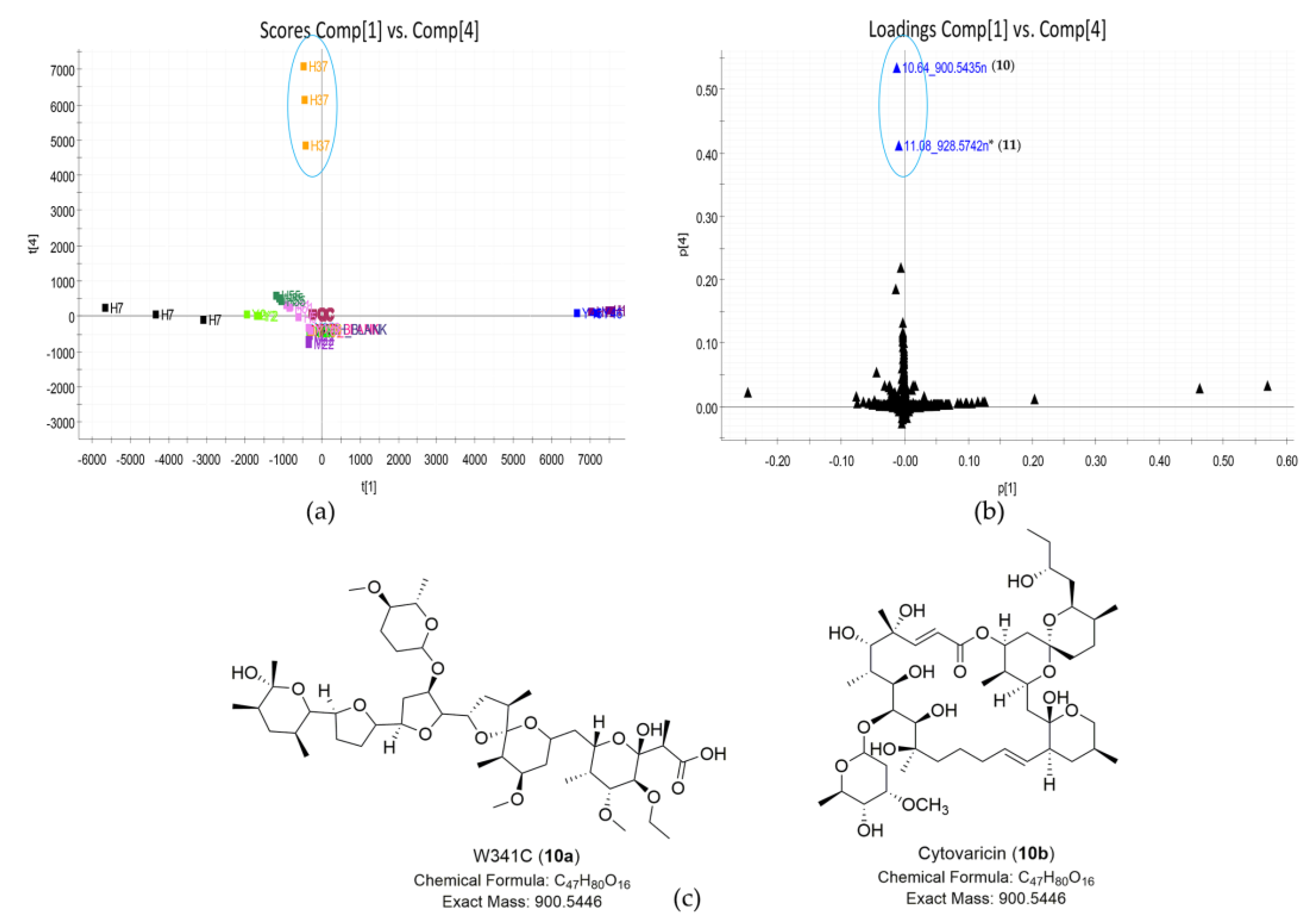 Marinedrugs 19 00688 g005 Marinedrugs 19 00688 g005