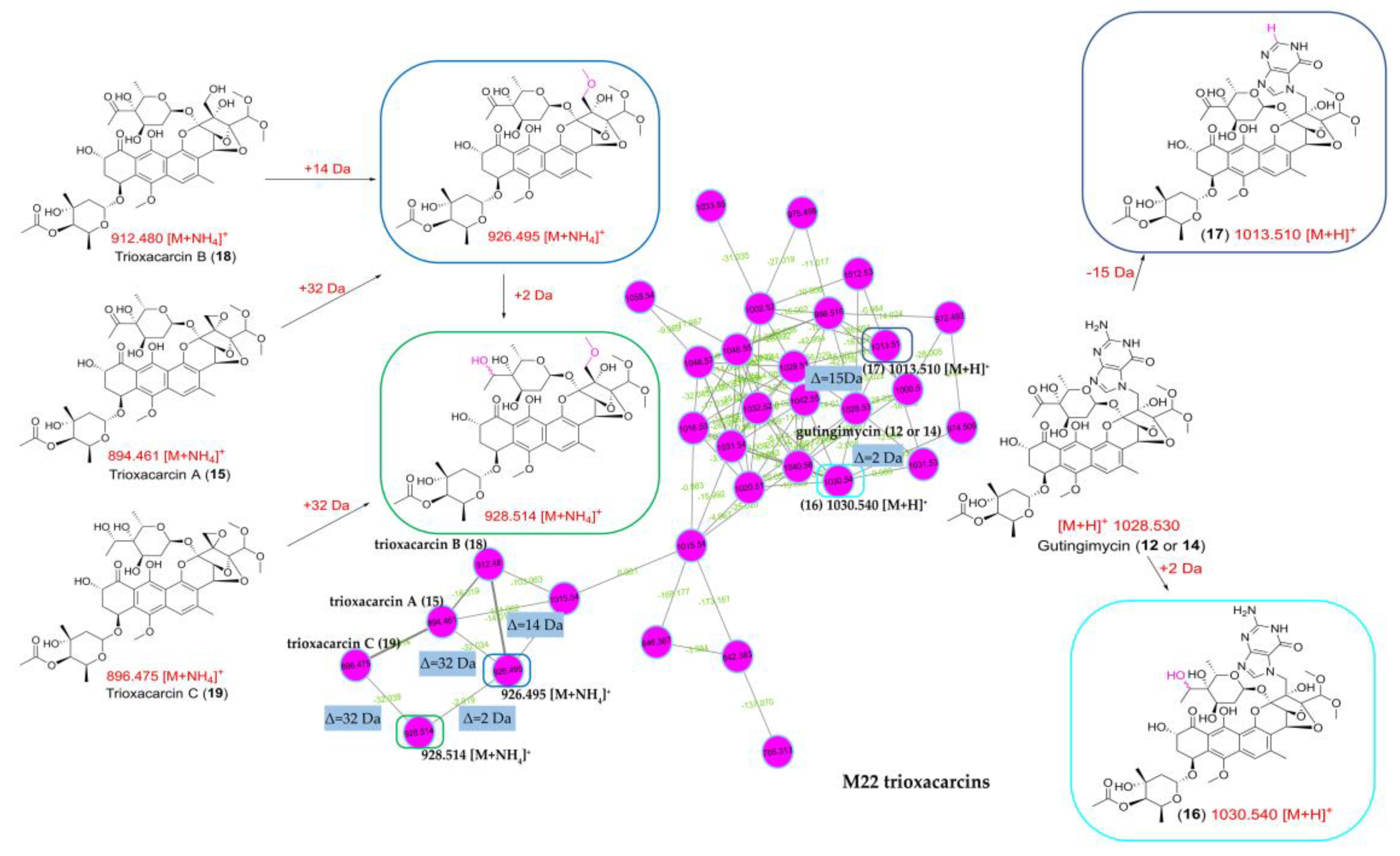 Marinedrugs 19 00688 g010 Marinedrugs 19 00688 g010