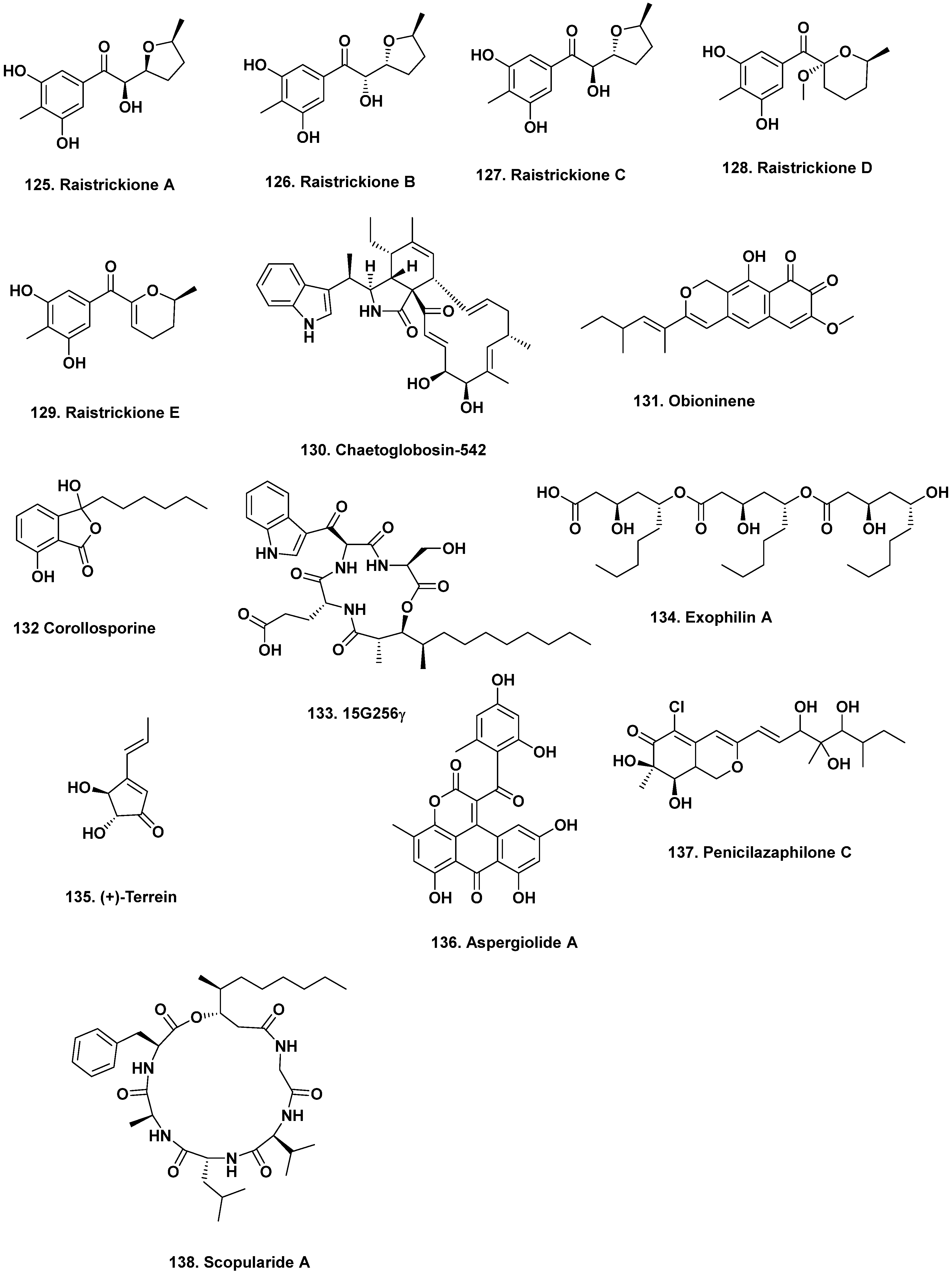 Marine Drugs | Free Full-Text | Extremophilic Fungi from Marine ...