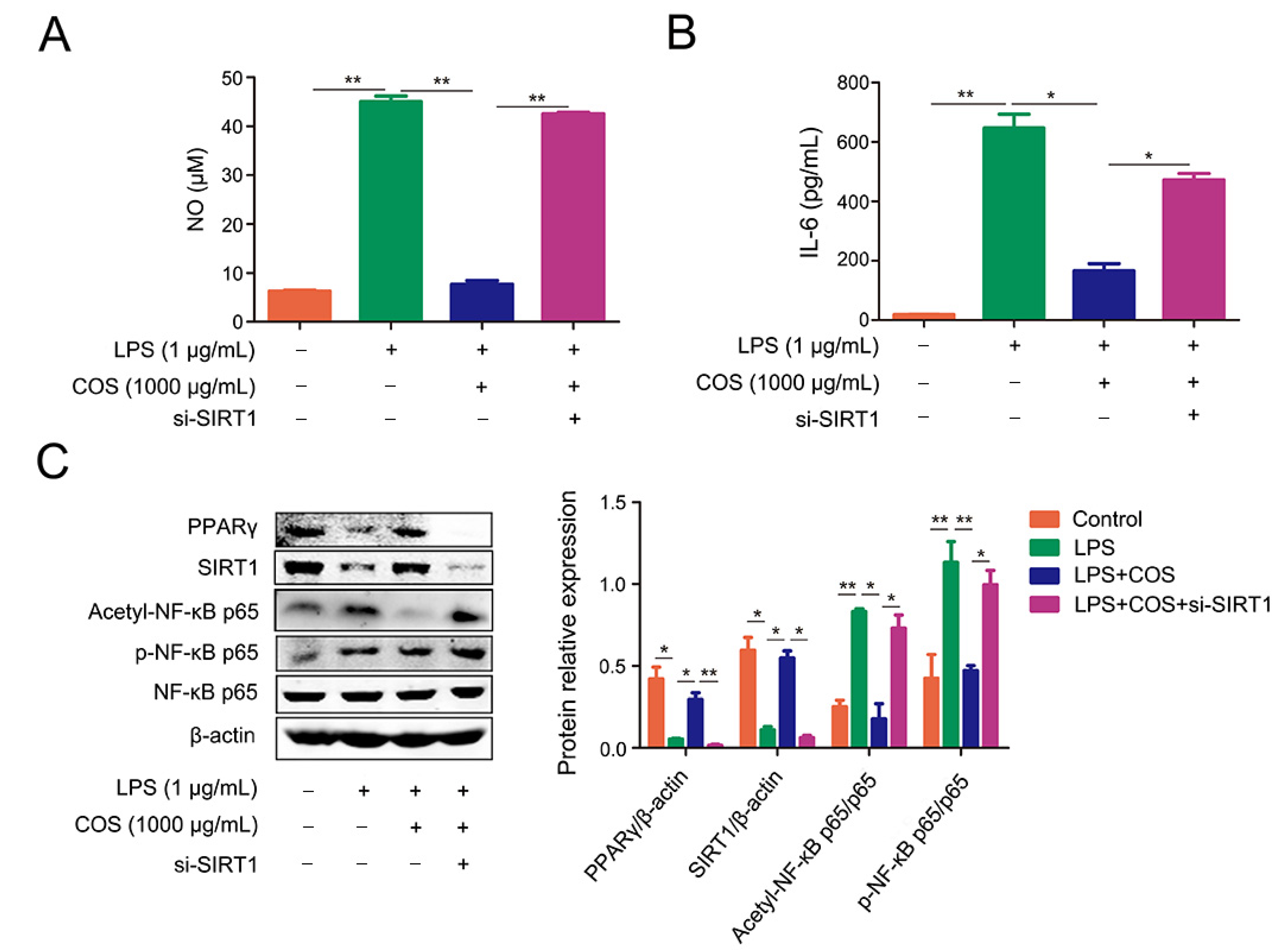 Marinedrugs 20 00096 g005