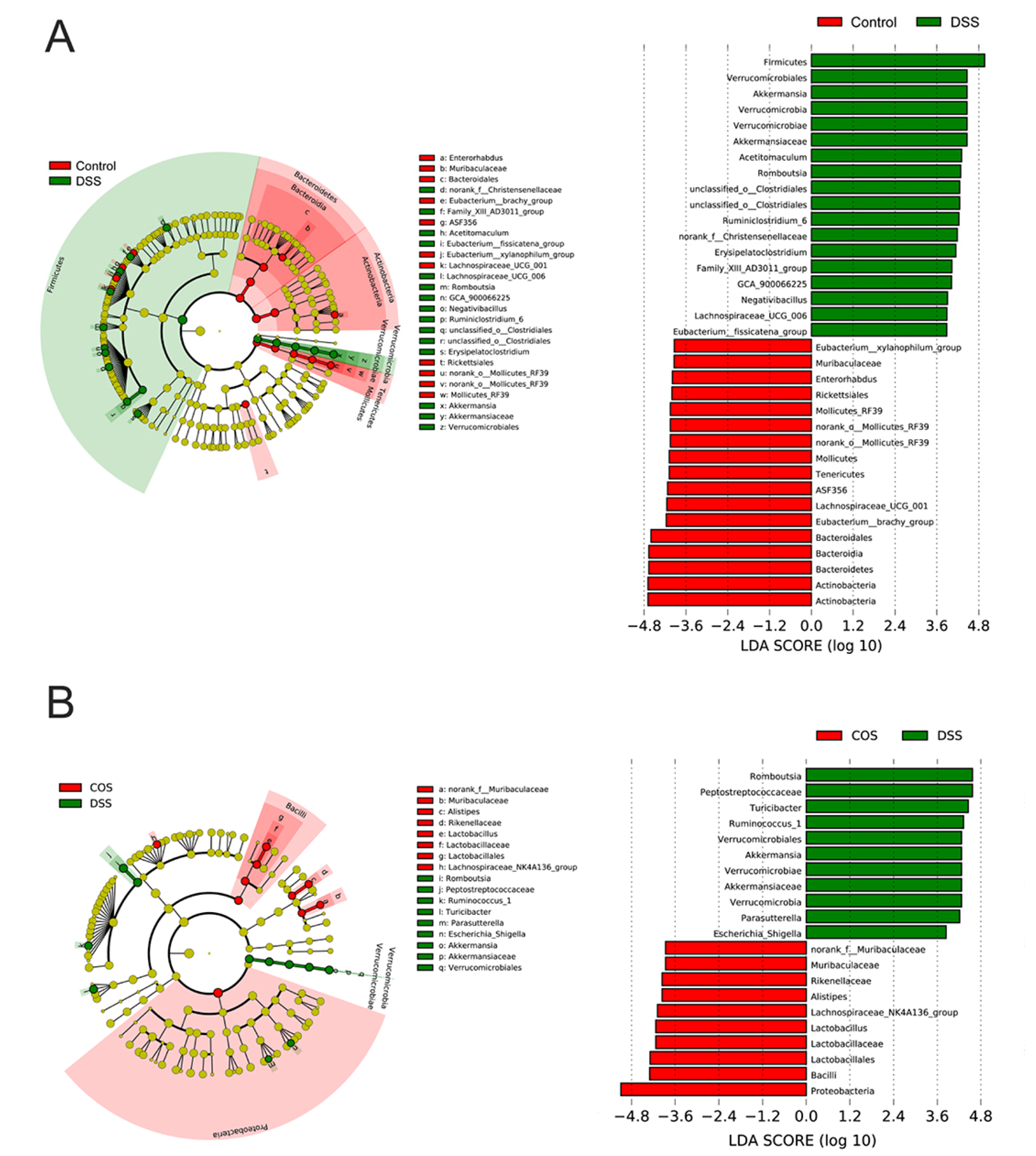 Marinedrugs 20 00096 g007