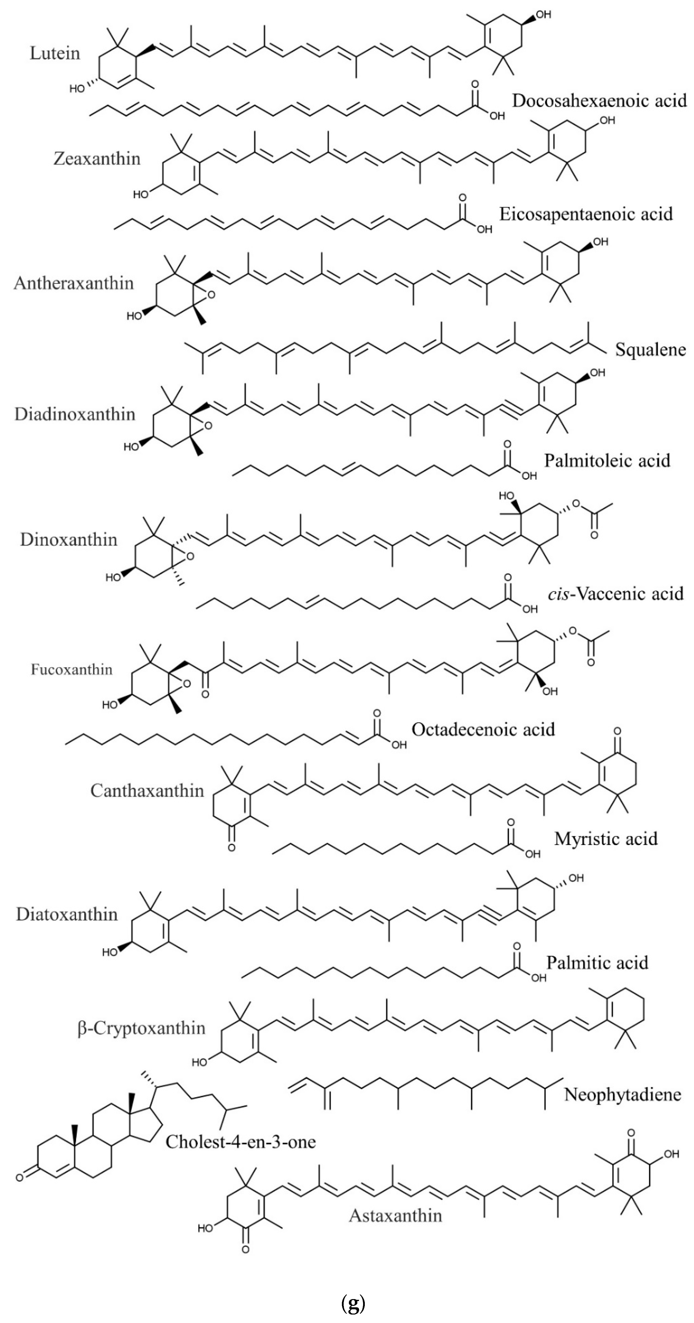 Marine Drugs | Free Full-Text | Therapeutic Potential and Nutraceutical ...