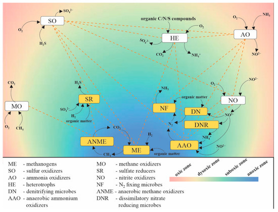 Frontiers  Decoding the microbial universe with metagenomics: a brief  insight