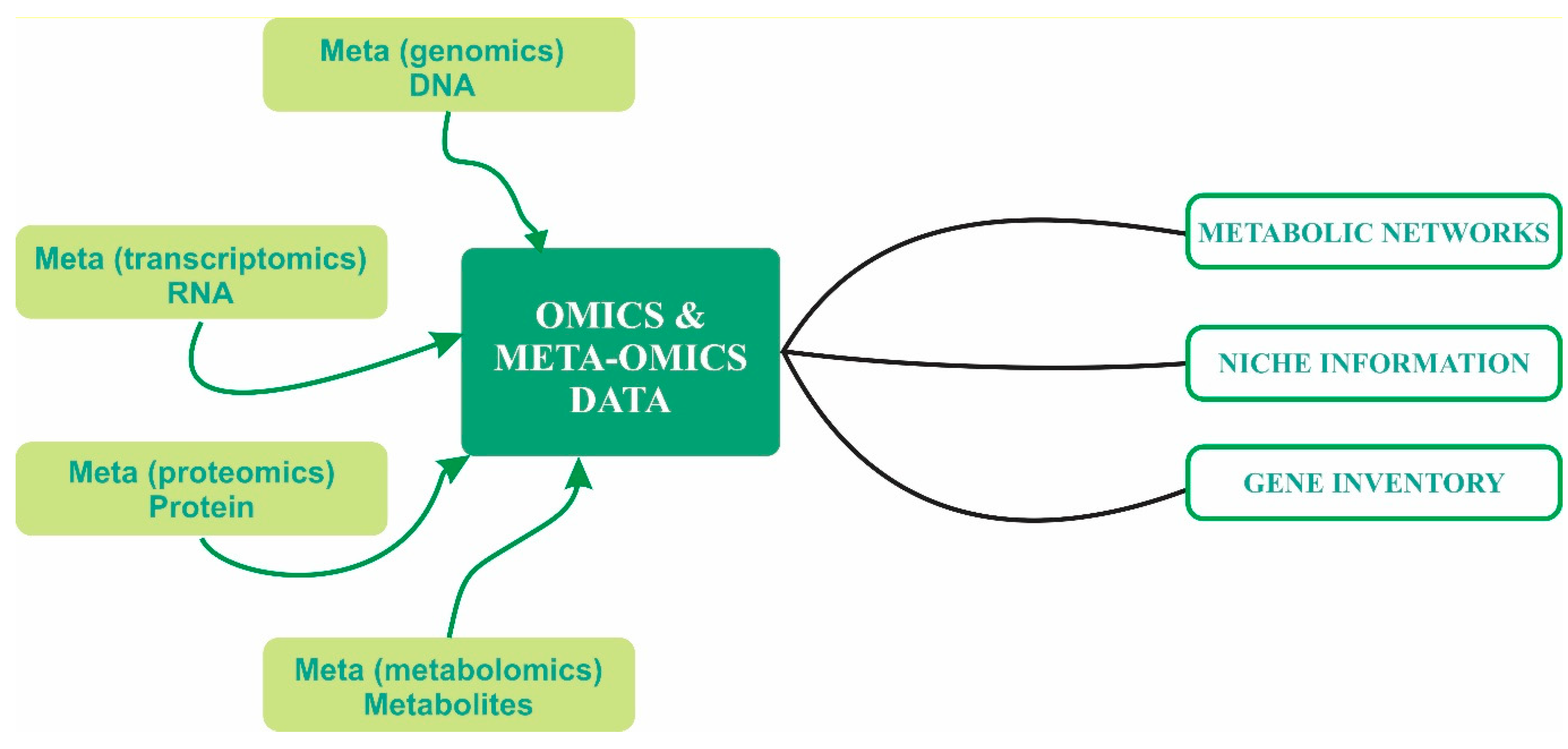 Frontiers  Decoding the microbial universe with metagenomics: a brief  insight