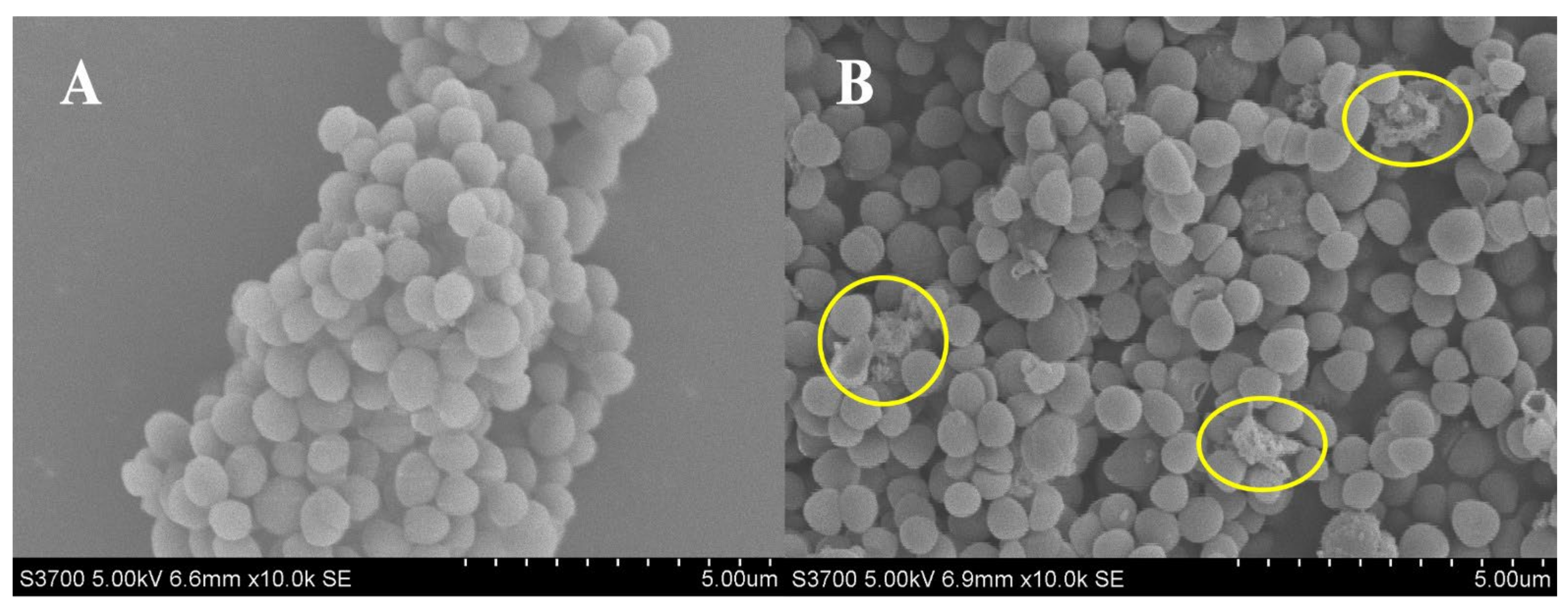 Marinedrugs 20 00114 g001