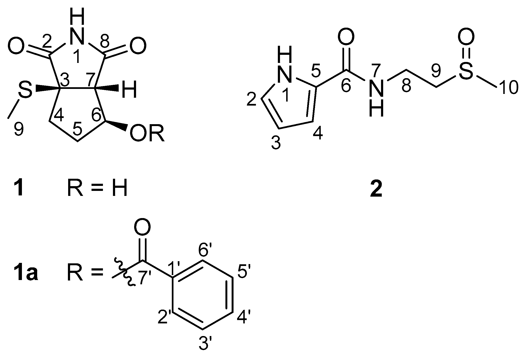 Marinedrugs 20 00138 g001