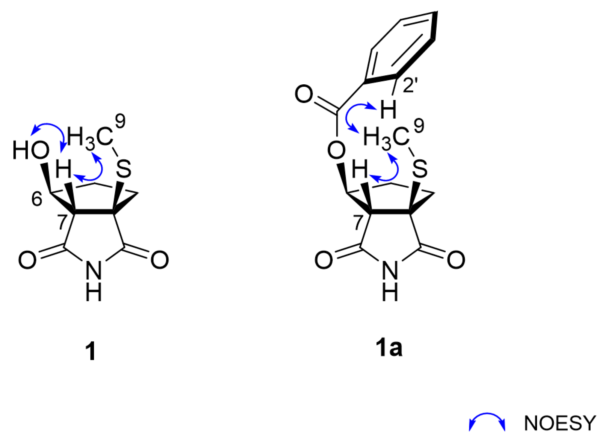 Marinedrugs 20 00138 g003