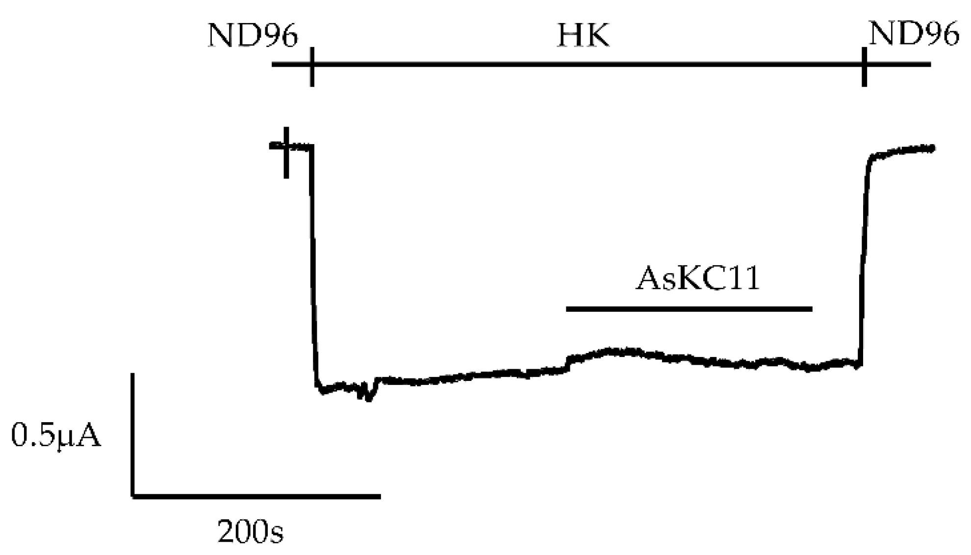 Marine Drugs | Free Full-Text | AsKC11, a Kunitz Peptide from 