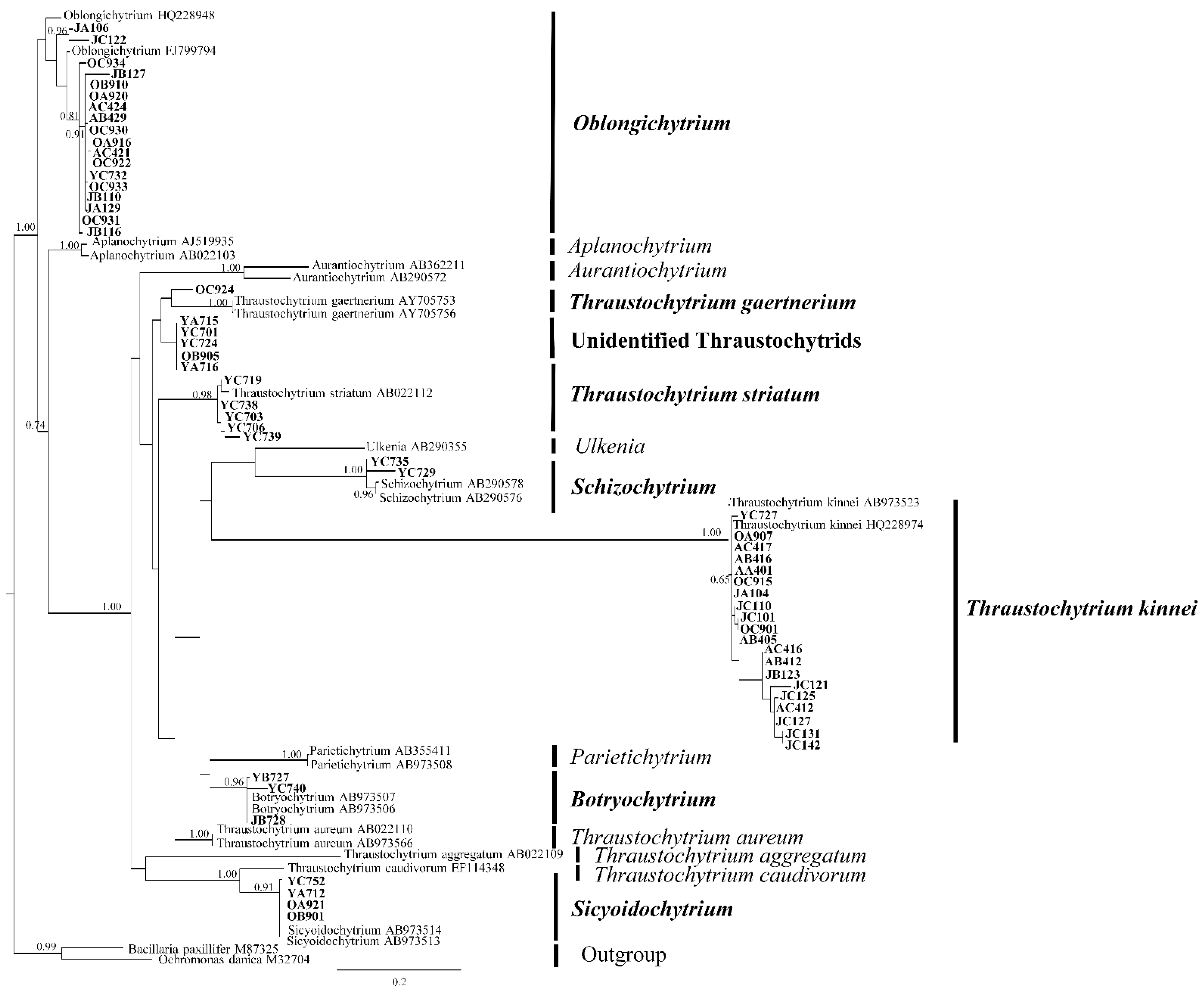 Marinedrugs 20 00229 g002