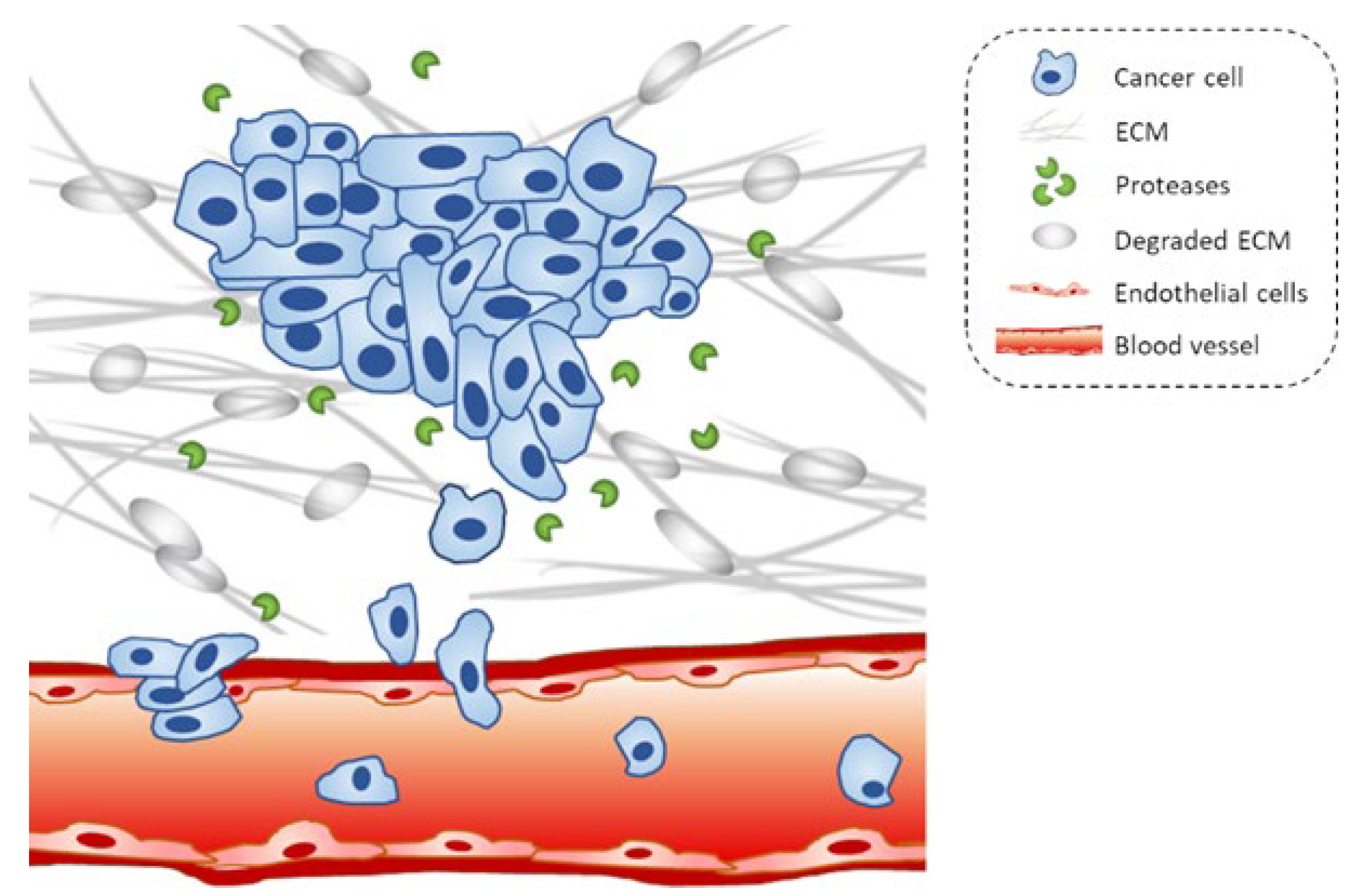 Marinedrugs 20 00273 g001