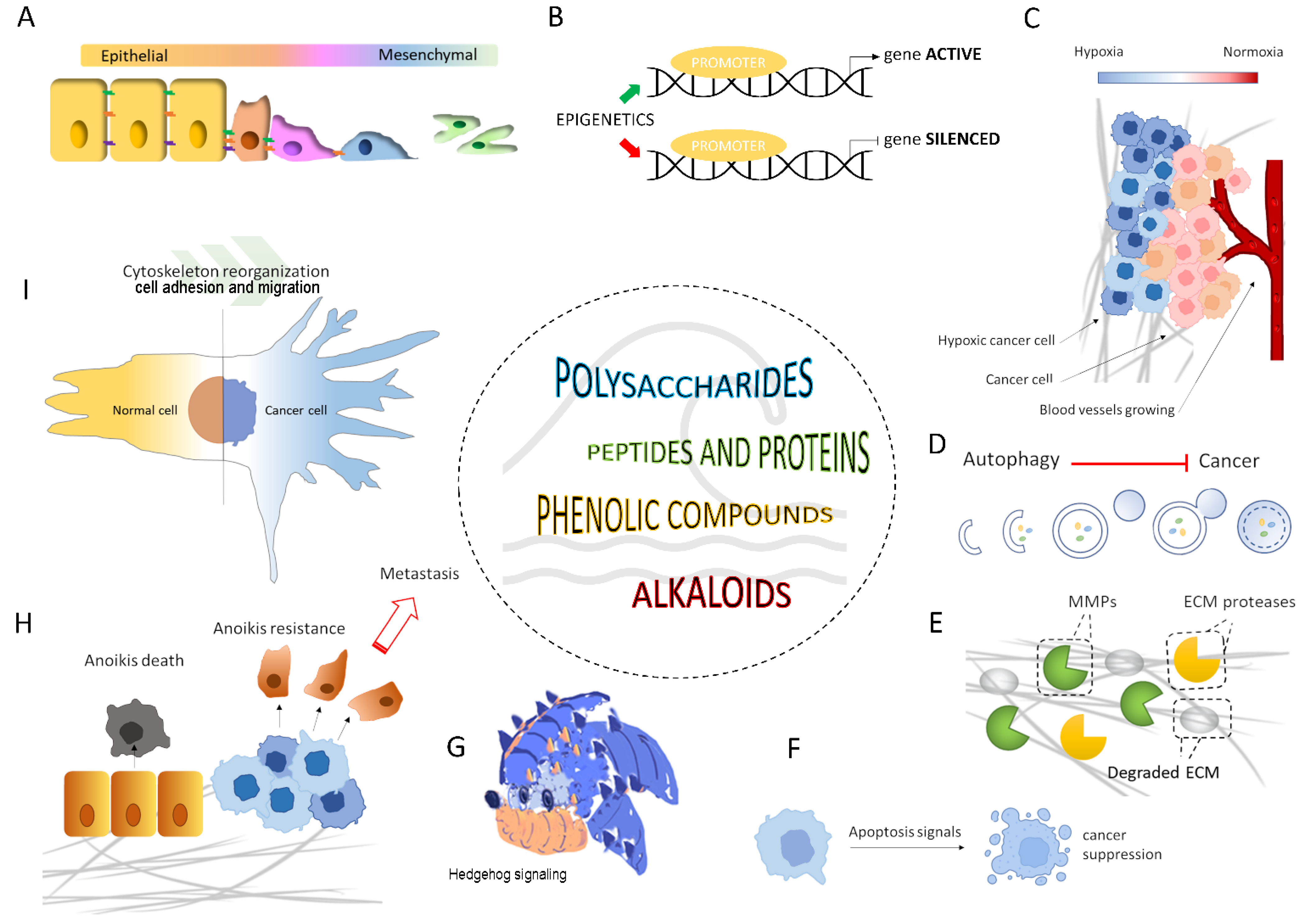 Marinedrugs 20 00273 g005