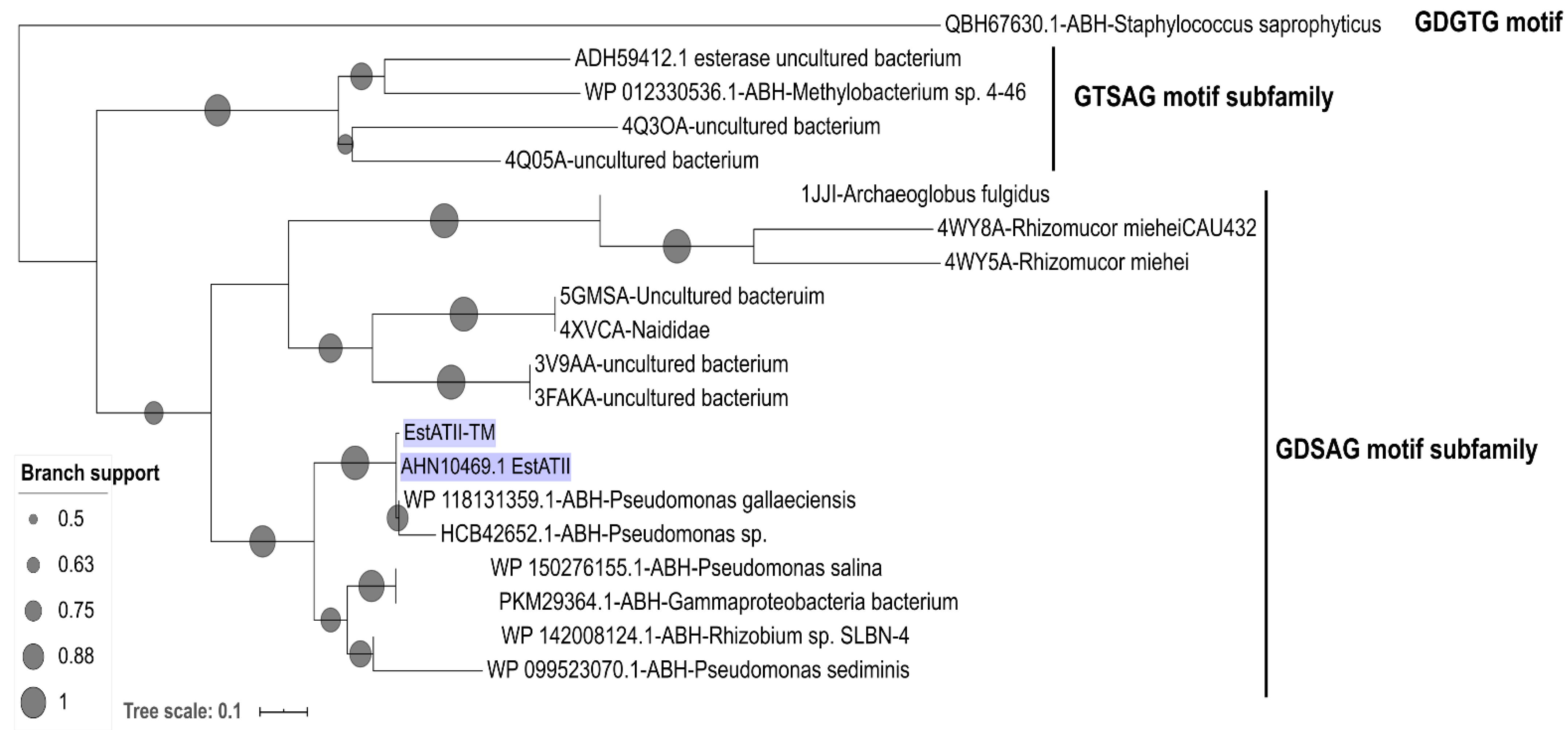 Marinedrugs 20 00274 g002