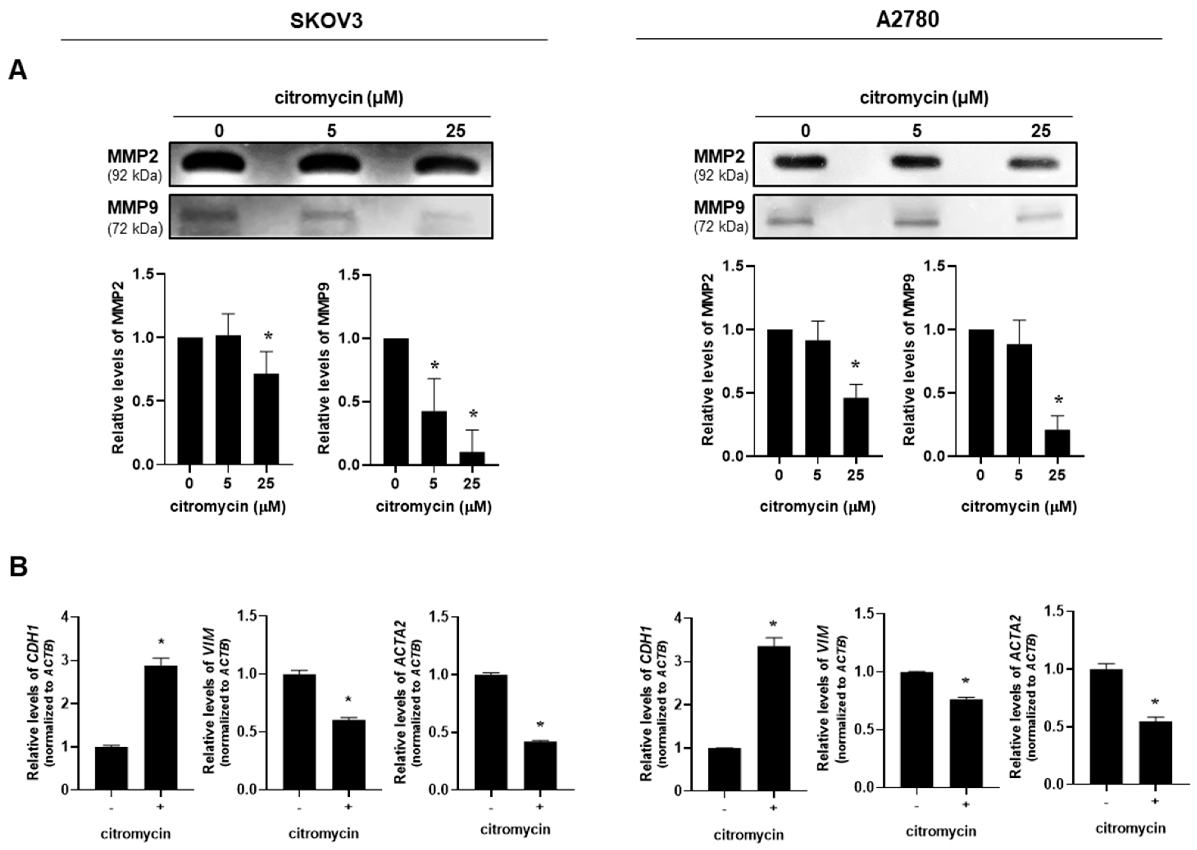 Marinedrugs 20 00275 g004 Marinedrugs 20 00275 g004