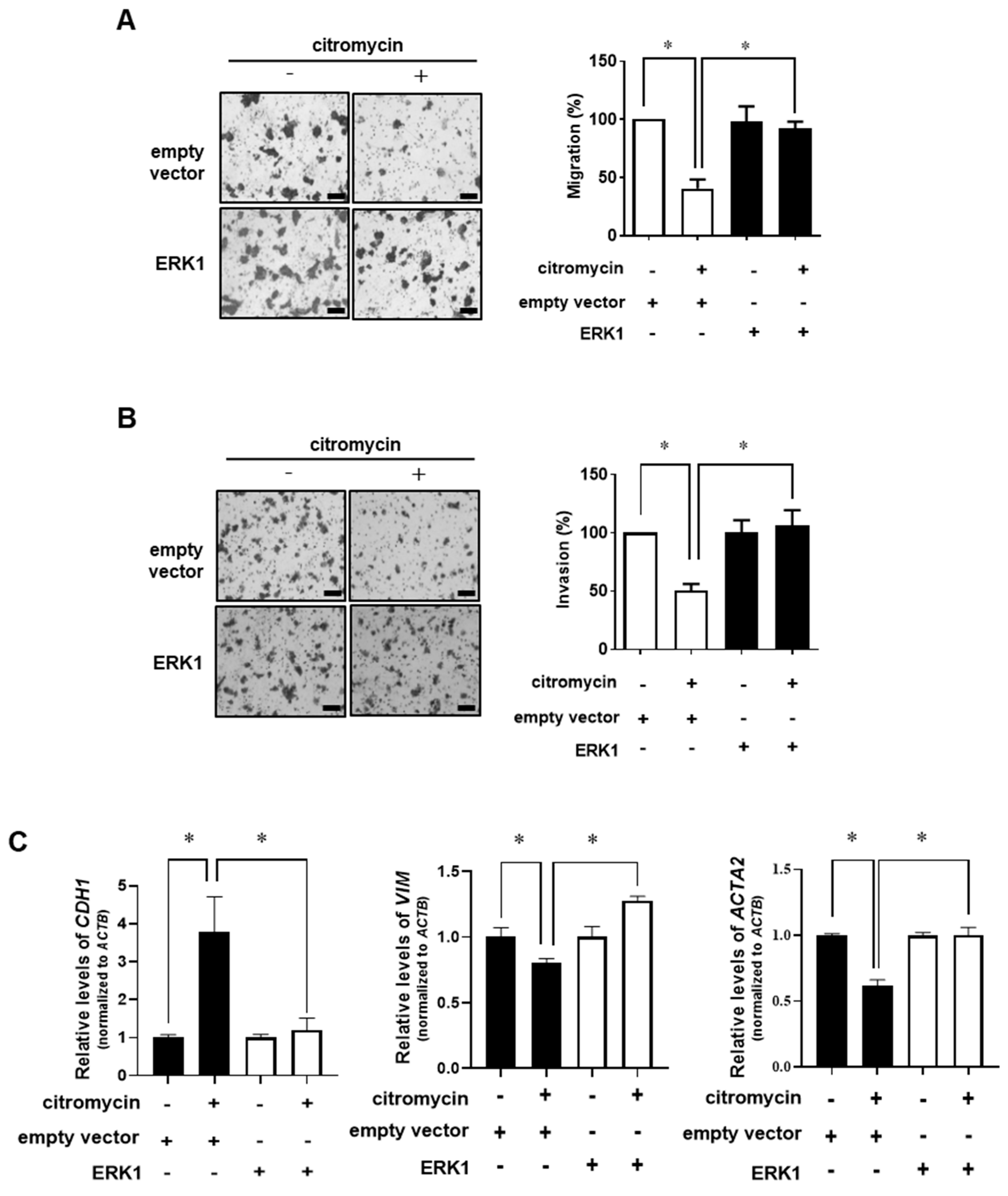 Marinedrugs 20 00275 g006 Marinedrugs 20 00275 g006