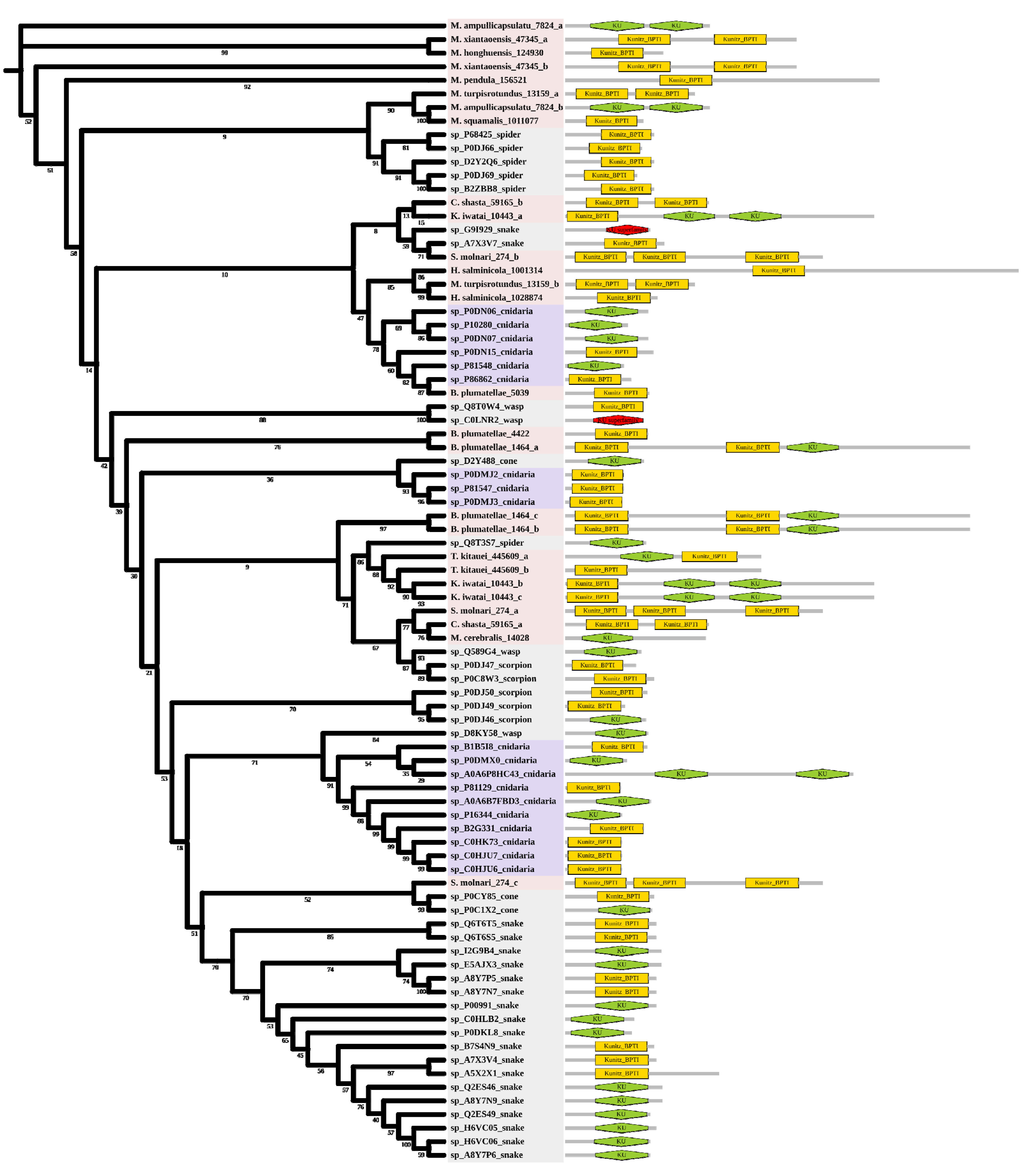 Marine Drugs | Free Full-Text | Transcriptomic Insights into the 