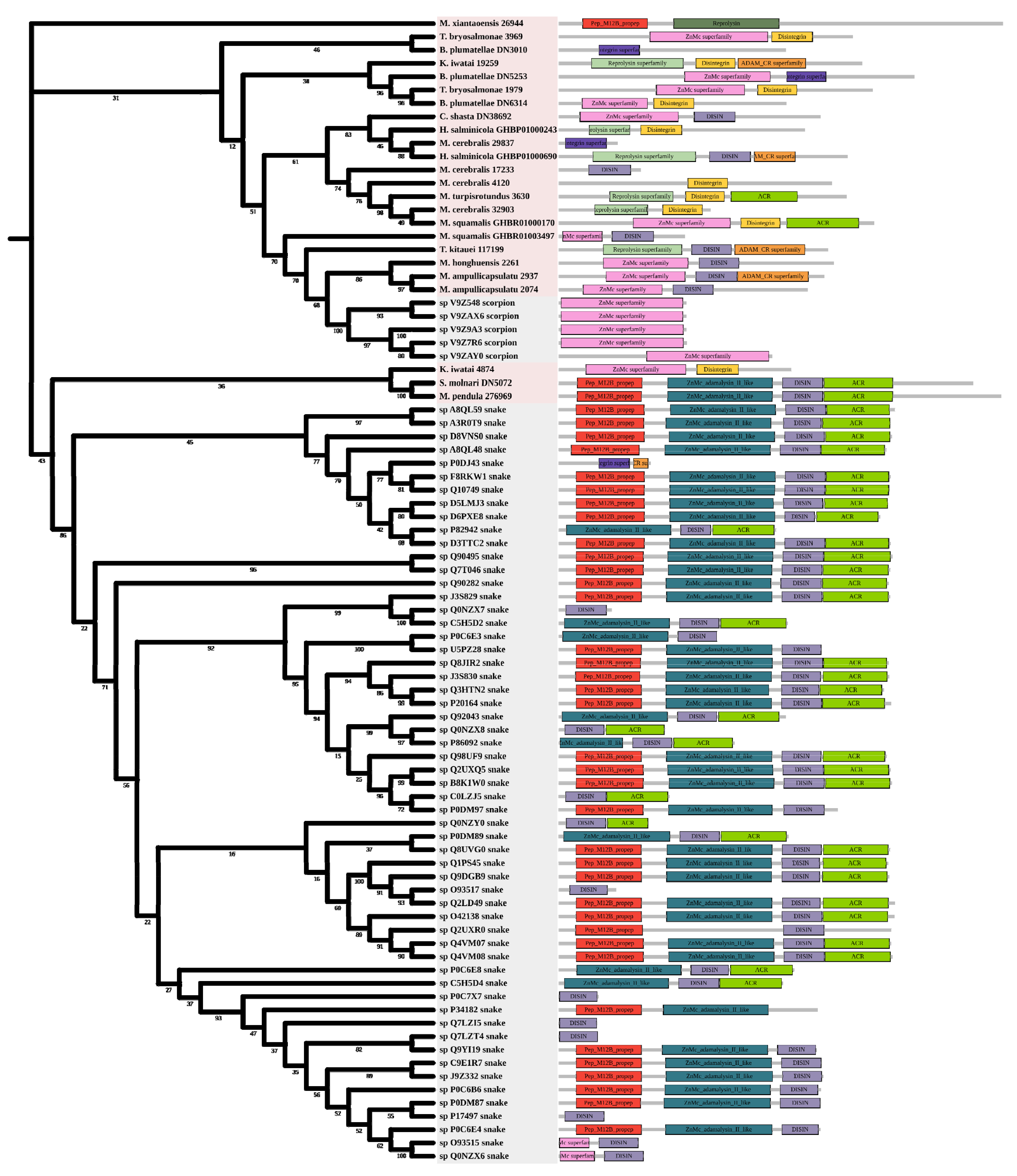 Marine Drugs | Free Full-Text | Transcriptomic Insights into the 