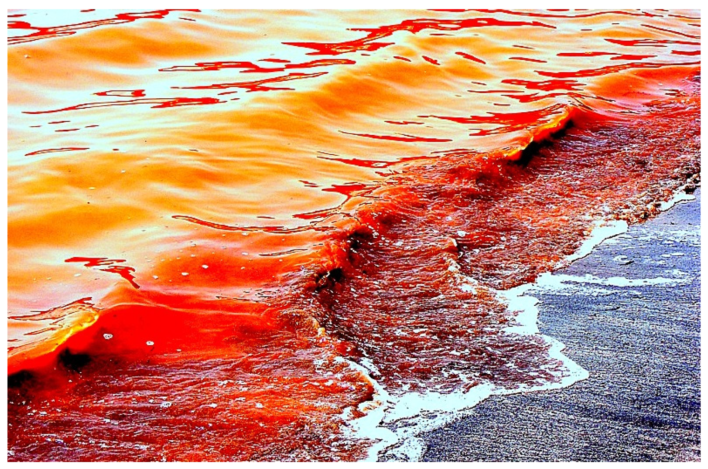 Marinedrugs 20 00292 g013 Marinedrugs 20 00292 g013