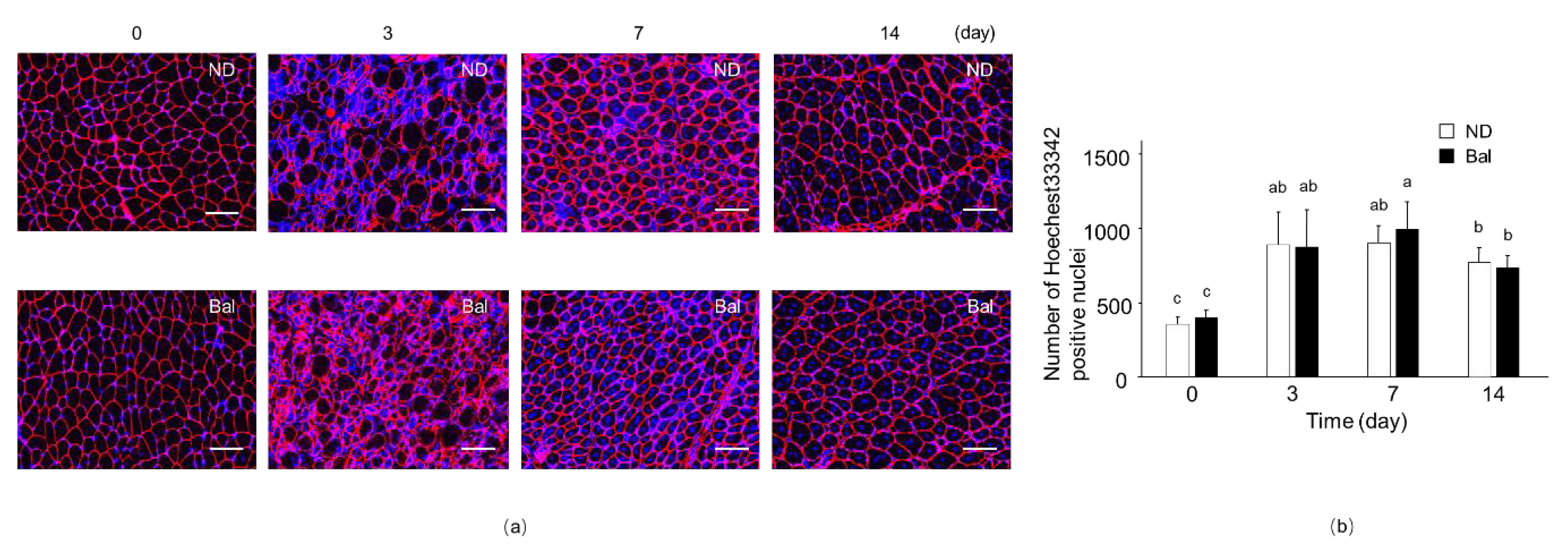 Marinedrugs 20 00313 g003 Marinedrugs 20 00313 g003