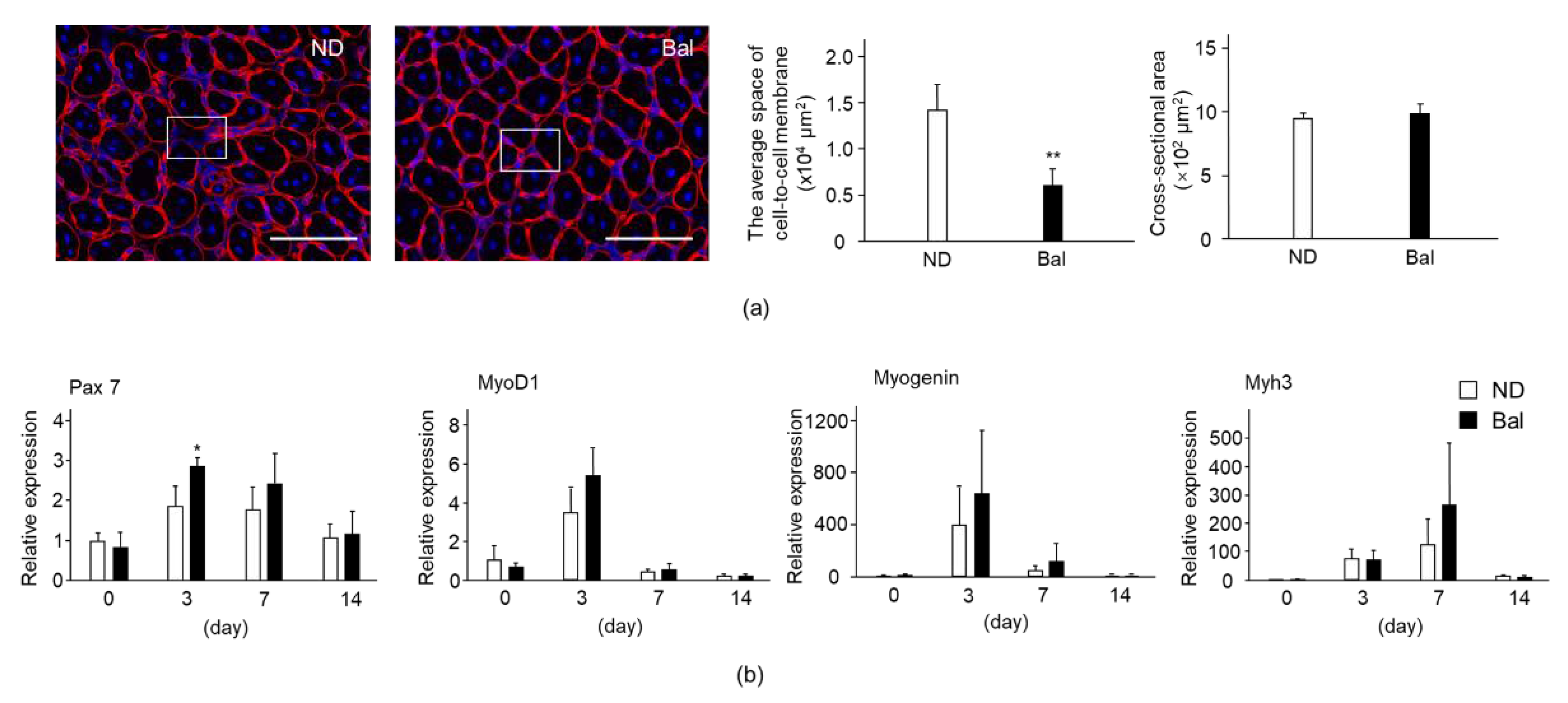 Marinedrugs 20 00313 g004 Marinedrugs 20 00313 g004