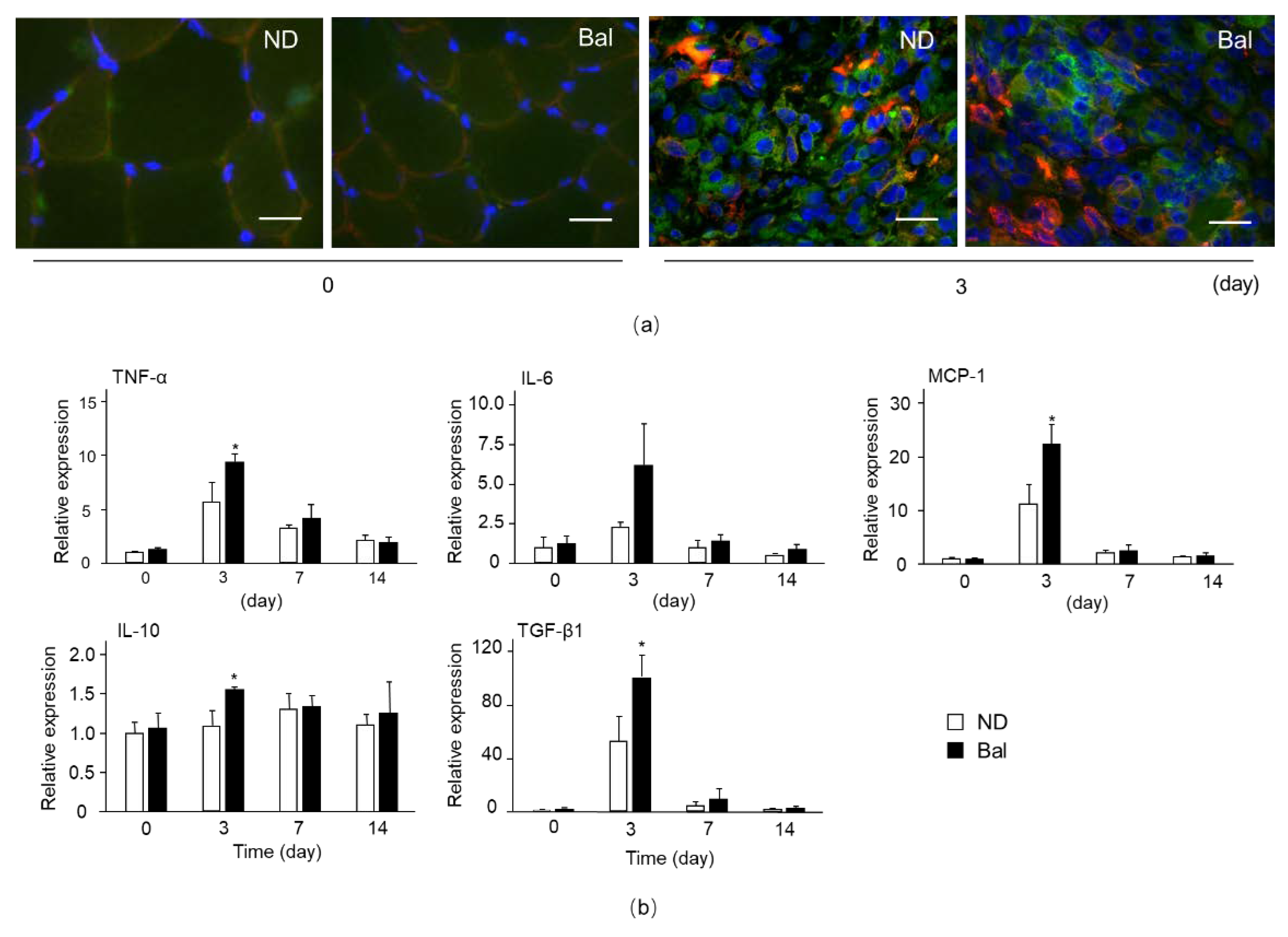 Marinedrugs 20 00313 g005 Marinedrugs 20 00313 g005