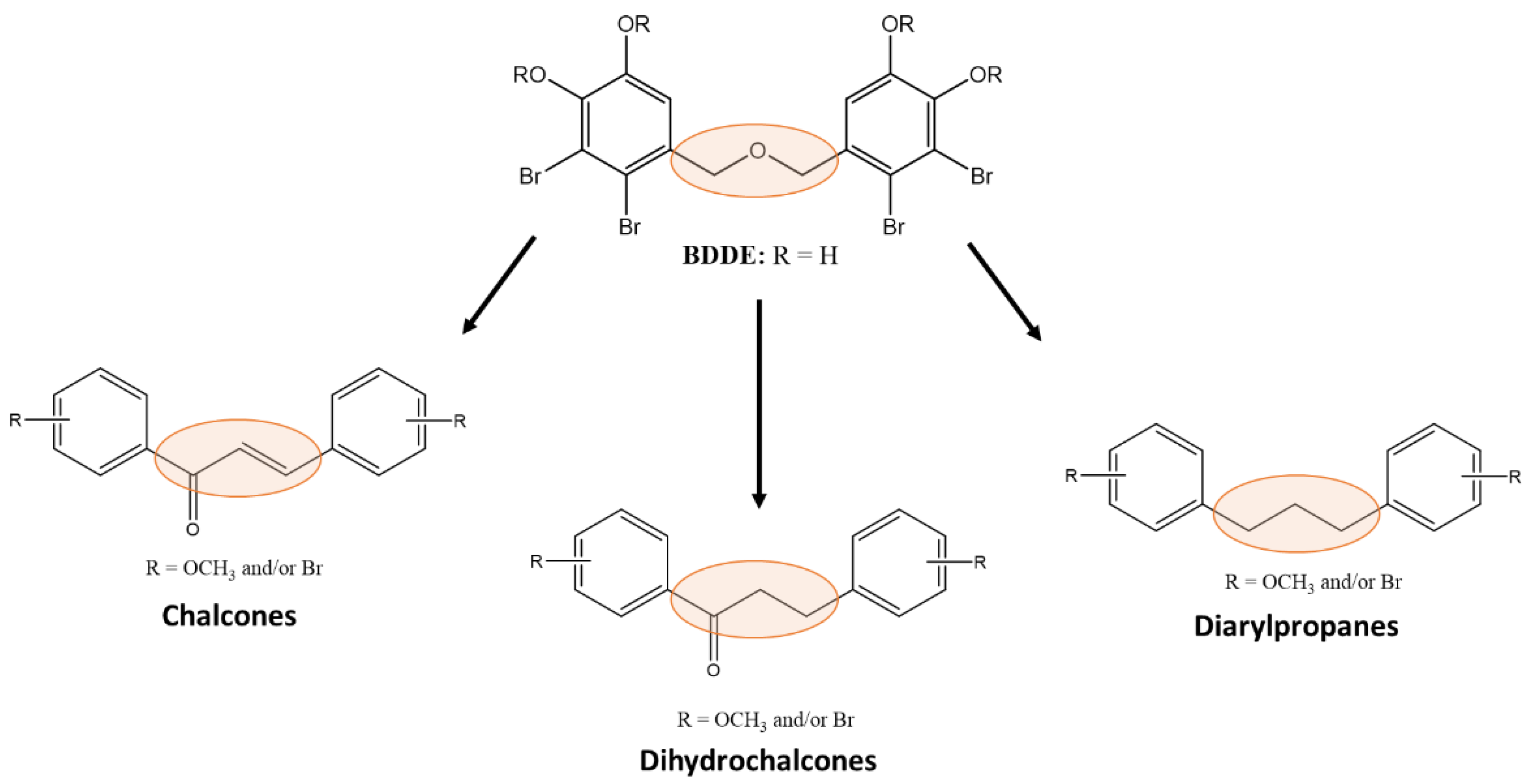 Marinedrugs 20 00315 g001