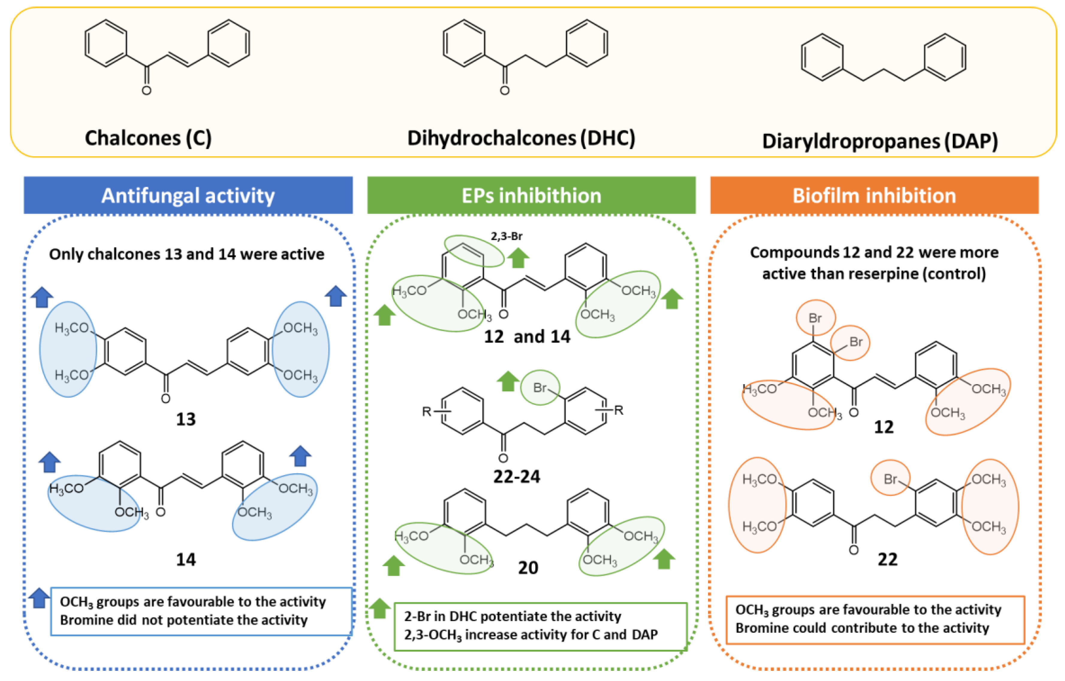 Marinedrugs 20 00315 g004