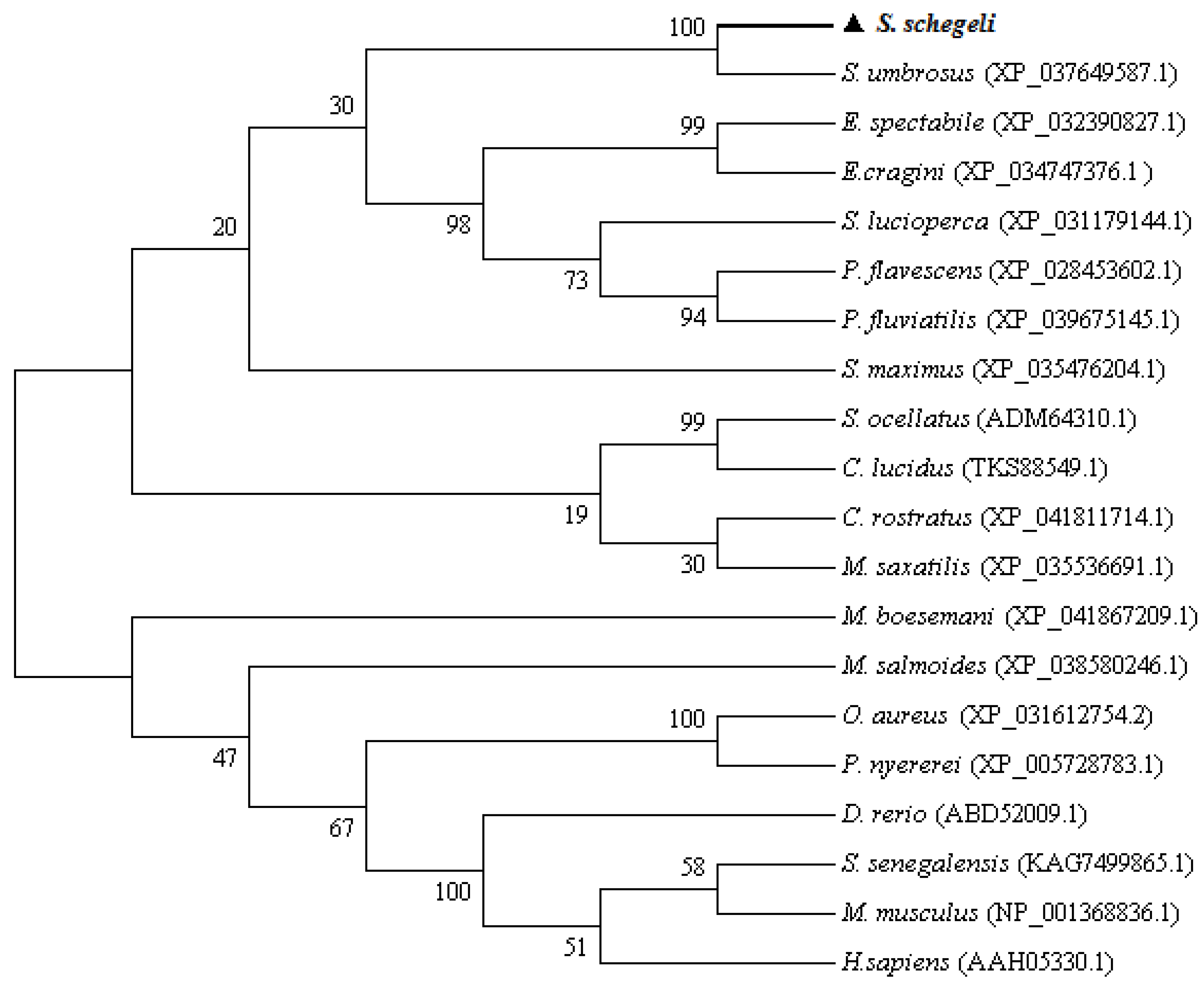 Marinedrugs 20 00353 g0a3
